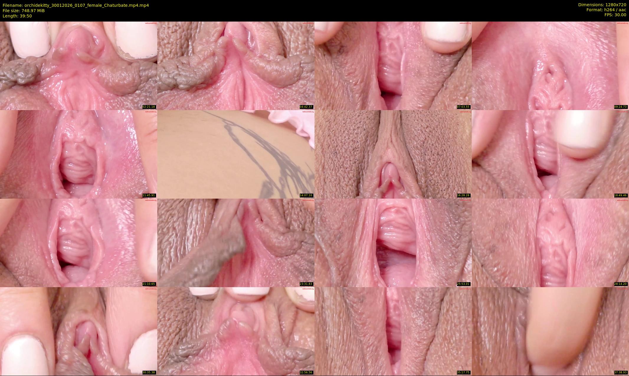 orchidekitty — 40 minute Chaturbate female cam show recording, 720p, Jan 30, 2026