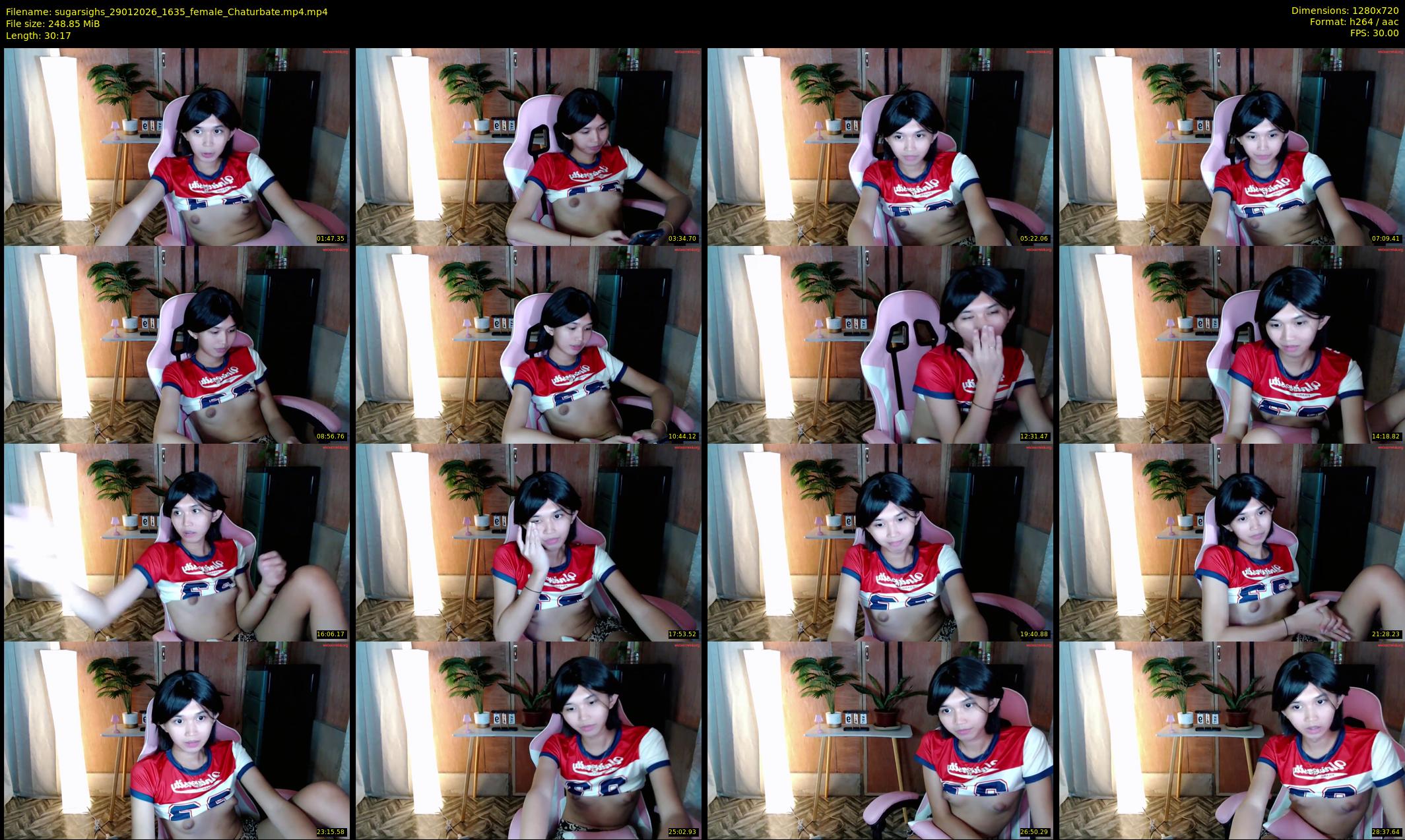 sugarsighs — 31 minute Chaturbate female cam show recording, 720p, Jan 29, 2026