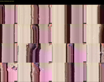 aviebby — 5 minute Chaturbate female cam show recording, 720p, Jan 31, 2026