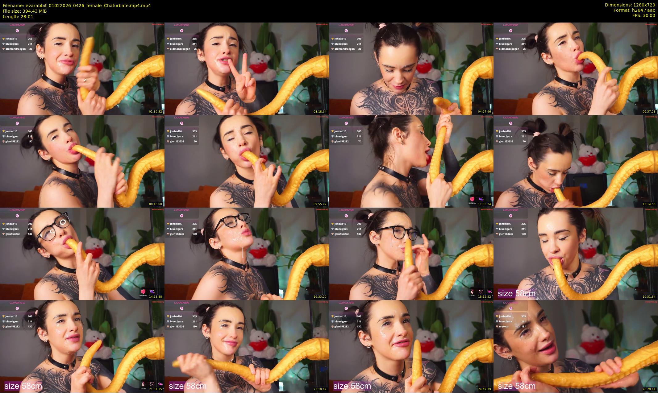 evarabbit — 29 minute Chaturbate female cam show recording, 720p, Feb 1, 2026