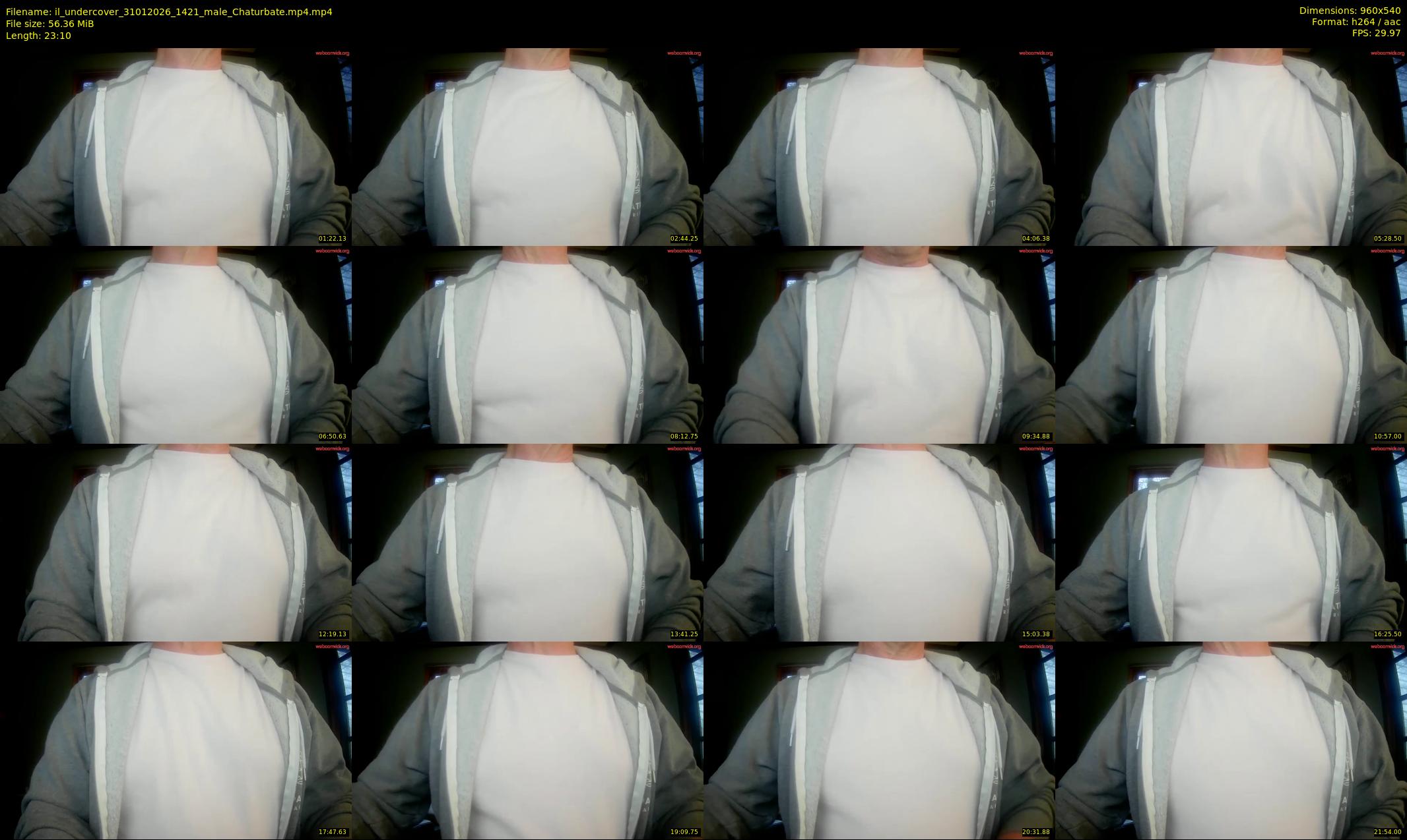 il_undercover — 24 minute Chaturbate male cam show recording, 480p, Jan 31, 2026