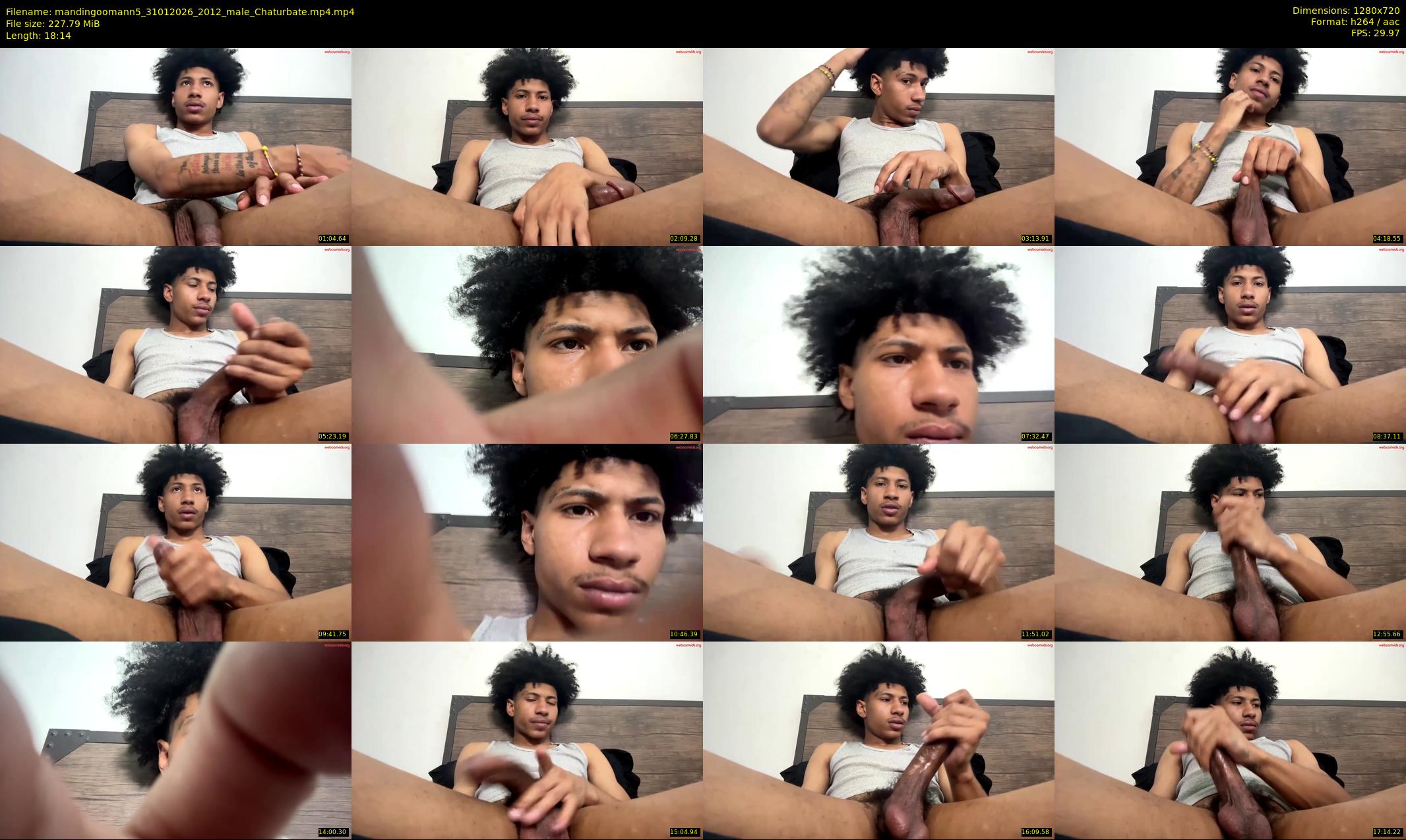 mandingoomann5 — 19 minute Chaturbate male cam show recording, 720p, Jan 31, 2026