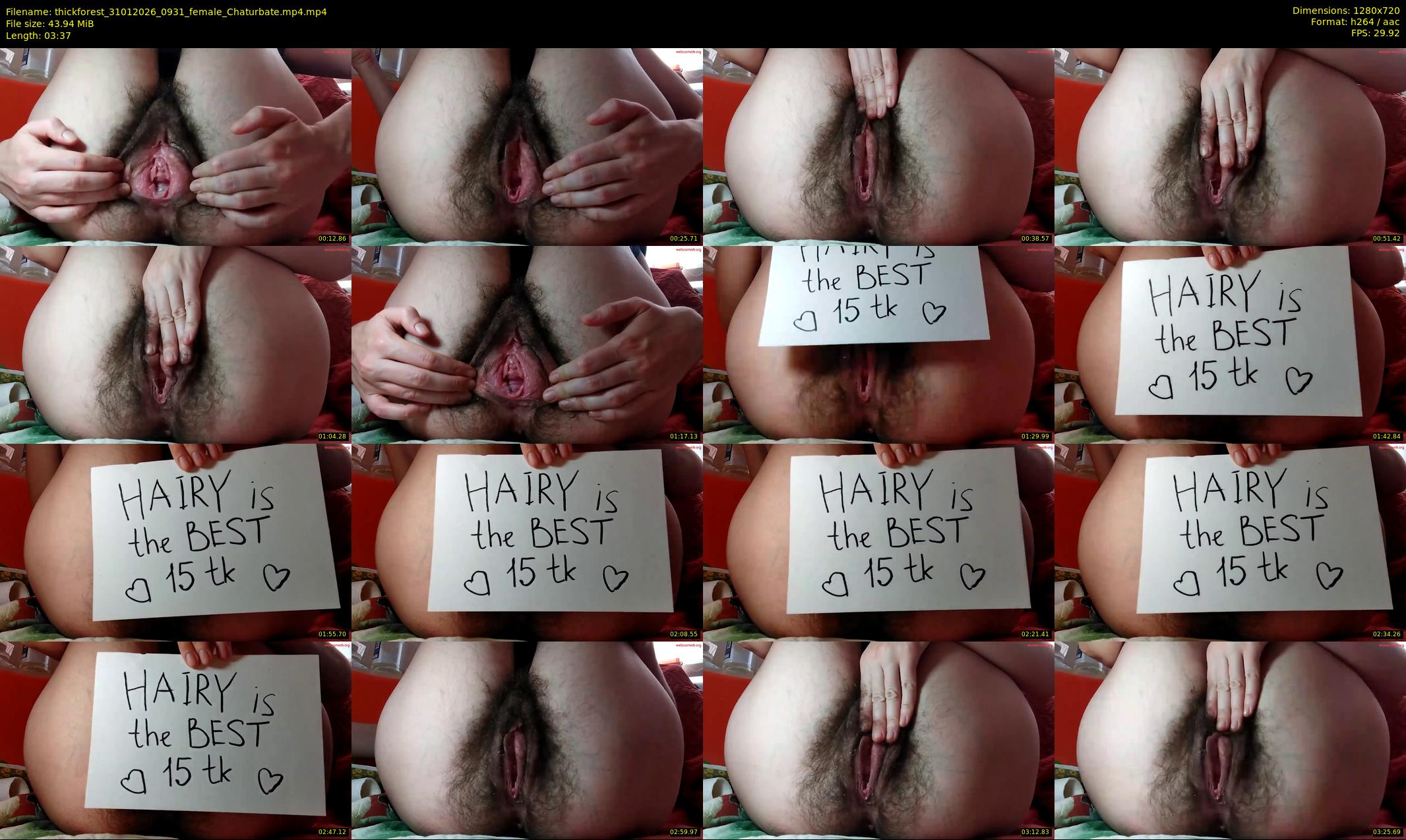 thickforest — 4 minute Chaturbate female cam show recording, 720p, Jan 31, 2026