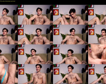 waynenorth — 17 minute Chaturbate male cam show recording, 720p, Jan 31, 2026