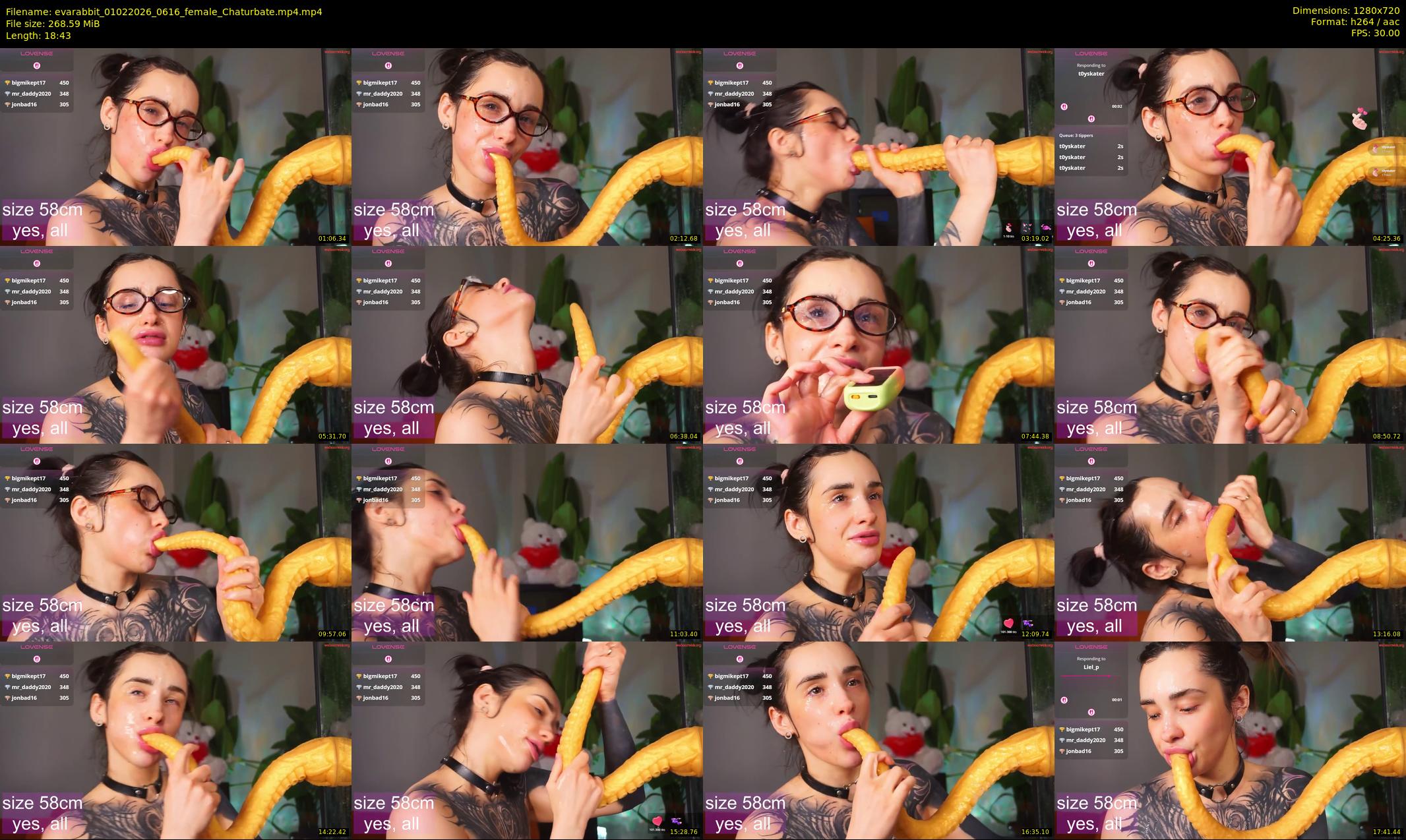evarabbit — 19 minute Chaturbate female cam show recording, 720p, Feb 1, 2026