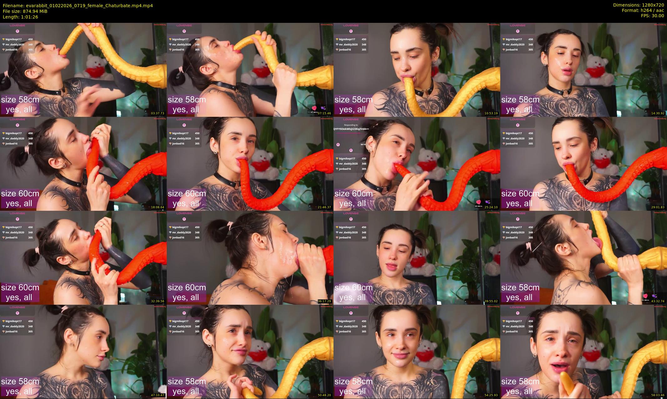 evarabbit — 62 minute Chaturbate female cam show recording, 720p, Feb 1, 2026
