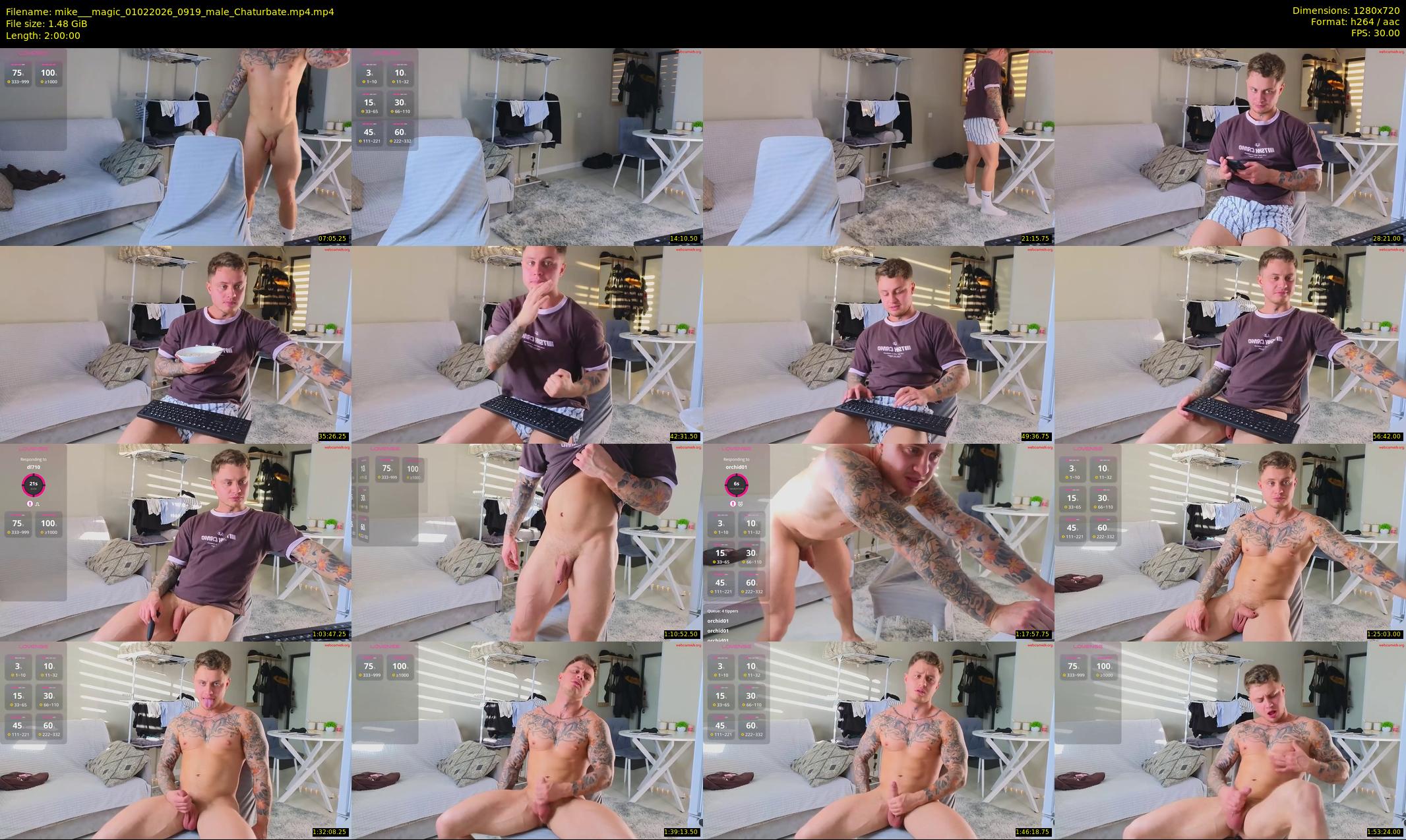 mike___magic — 120 minute Chaturbate male cam show recording, 720p, Feb 1, 2026