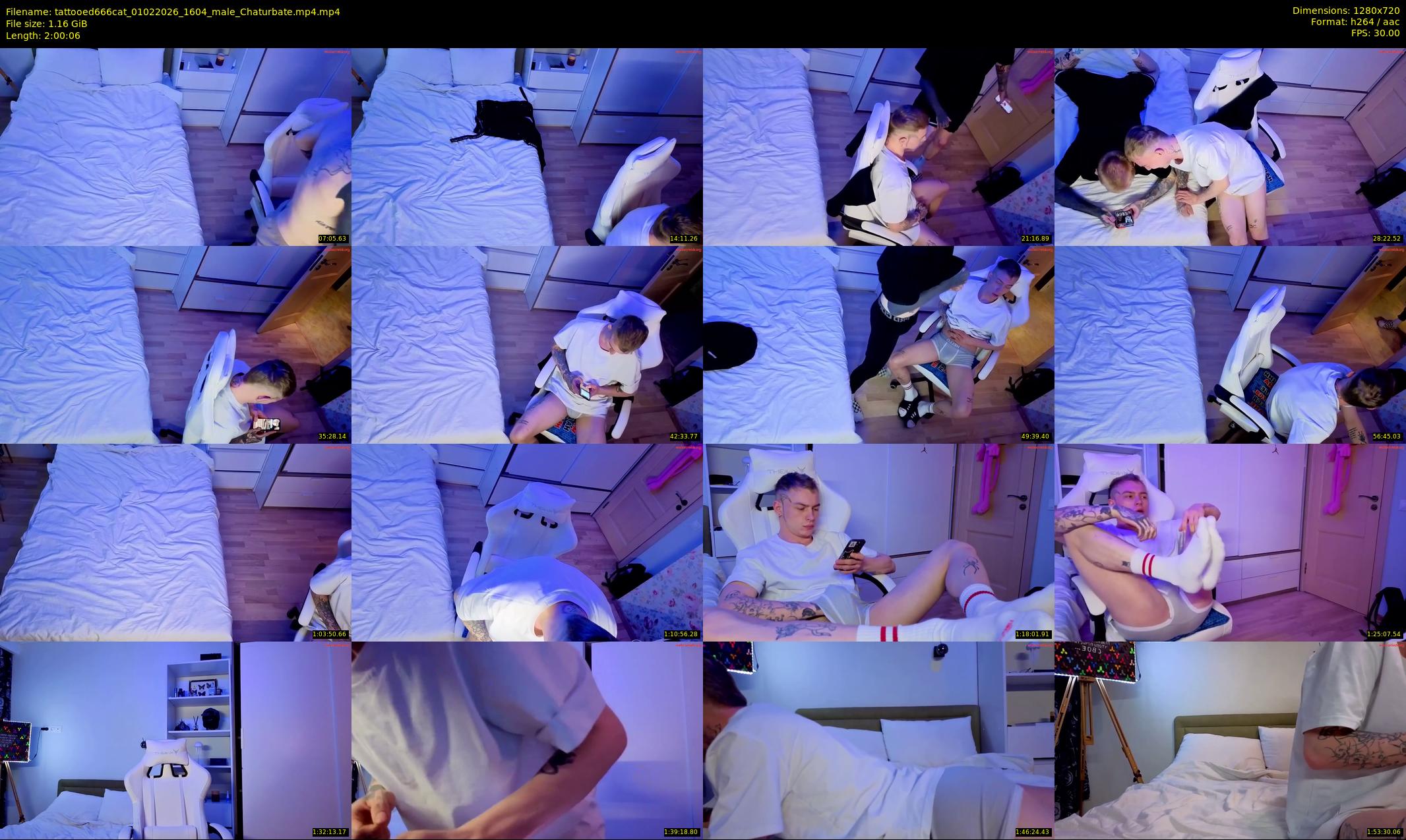 tattooed666cat — 121 minute Chaturbate male cam show recording, 720p, Feb 1, 2026