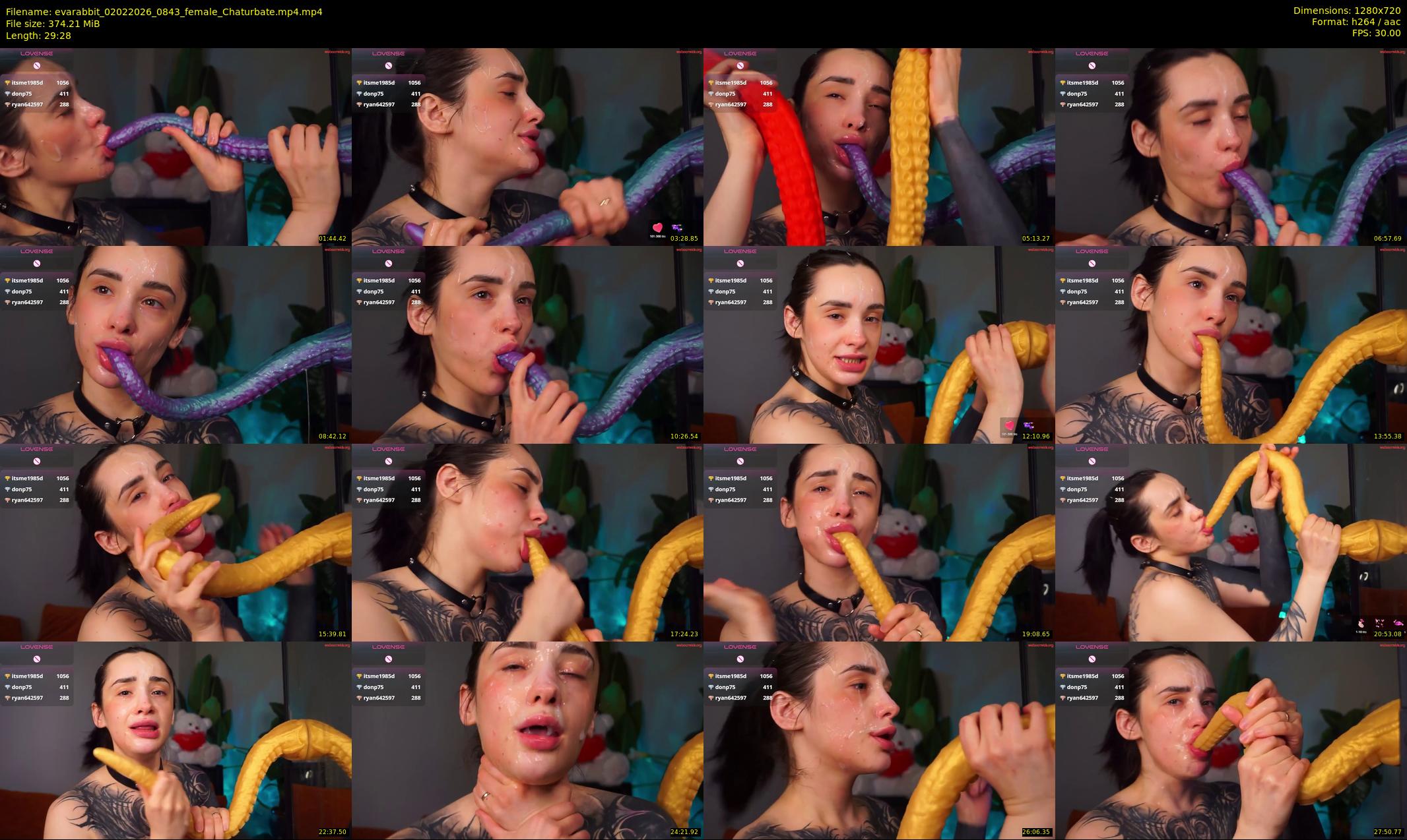 evarabbit — 30 minute Chaturbate female cam show recording, 720p, Feb 2, 2026