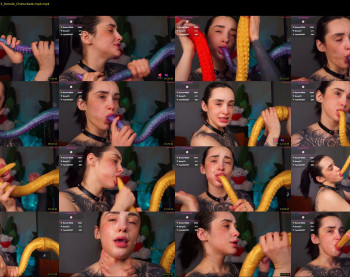 evarabbit — 30 minute Chaturbate female cam show recording, 720p, Feb 2, 2026