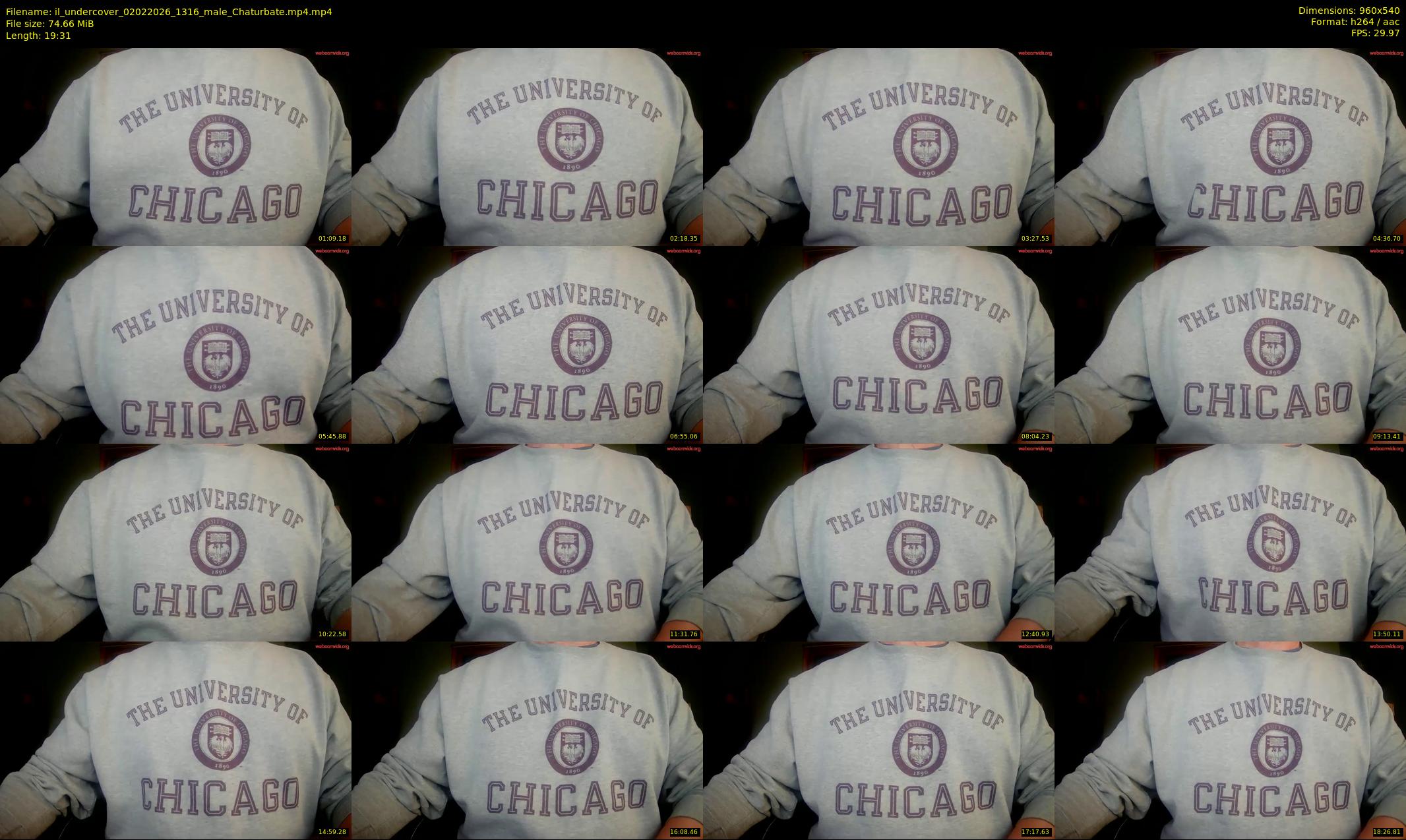 il_undercover — 20 minute Chaturbate male cam show recording, 480p, Feb 2, 2026