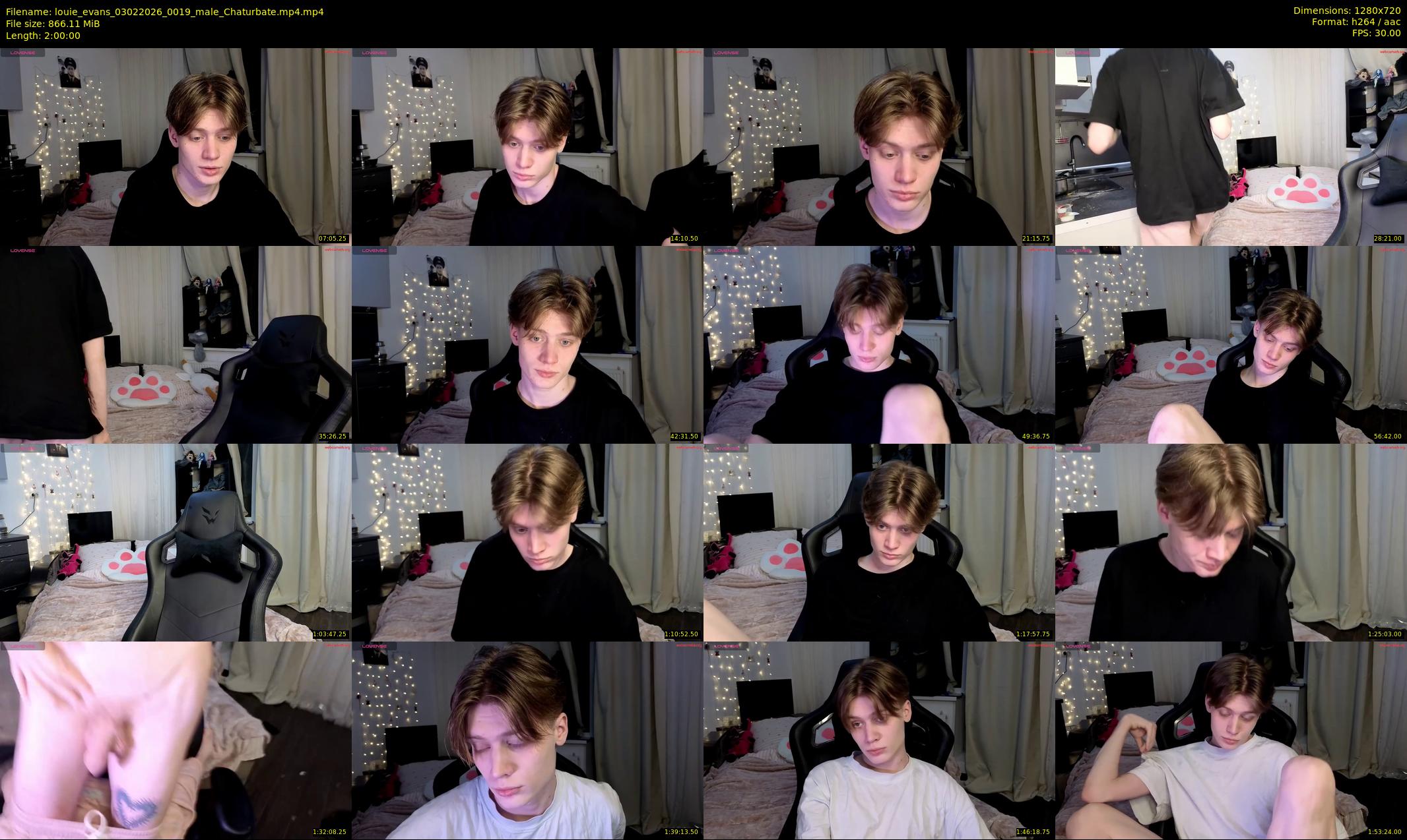 louie_evans — 120 minute Chaturbate male cam show recording, 720p, Feb 3, 2026