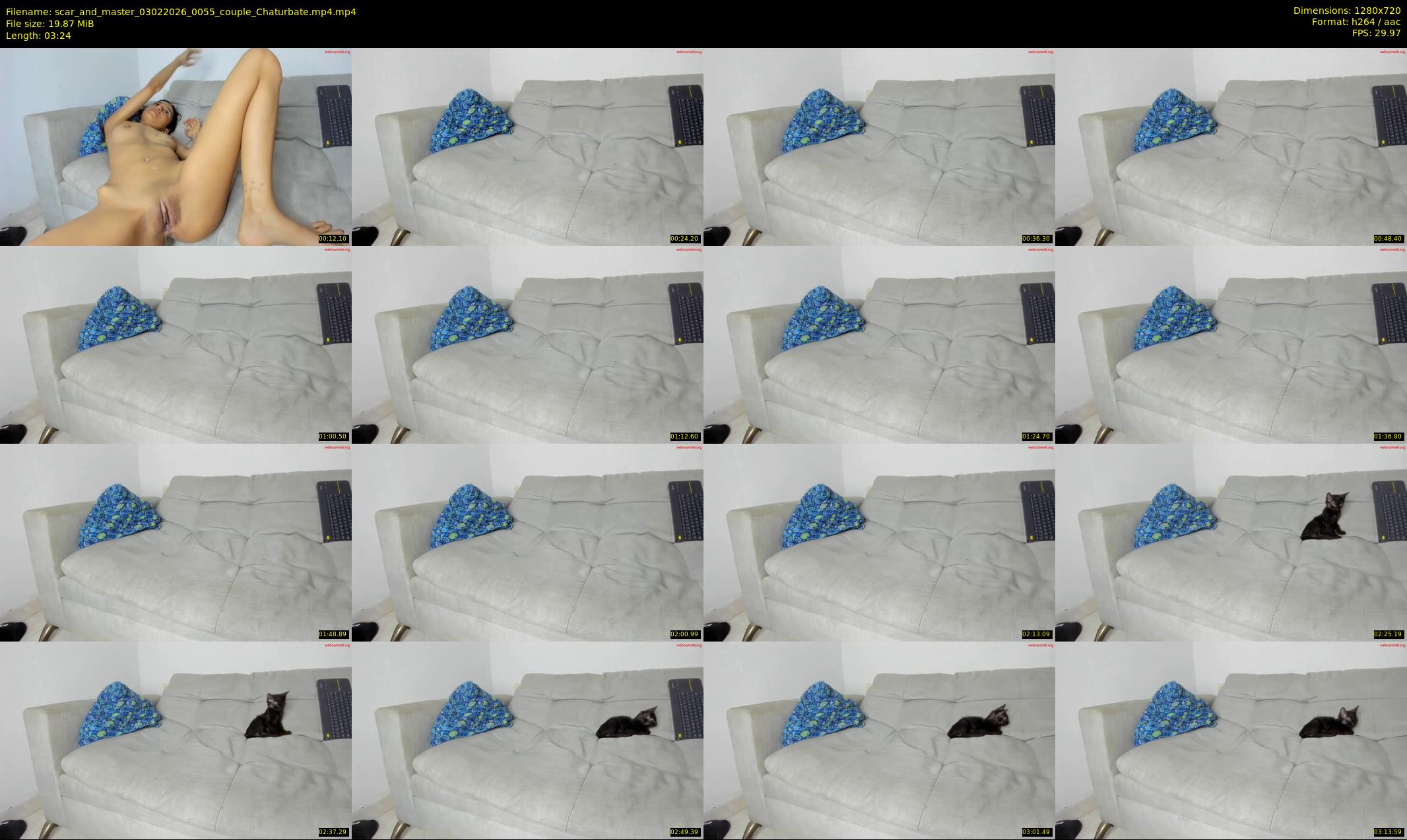 scar_and_master — 4 minute Chaturbate couple cam show recording, 720p, Feb 3, 2026