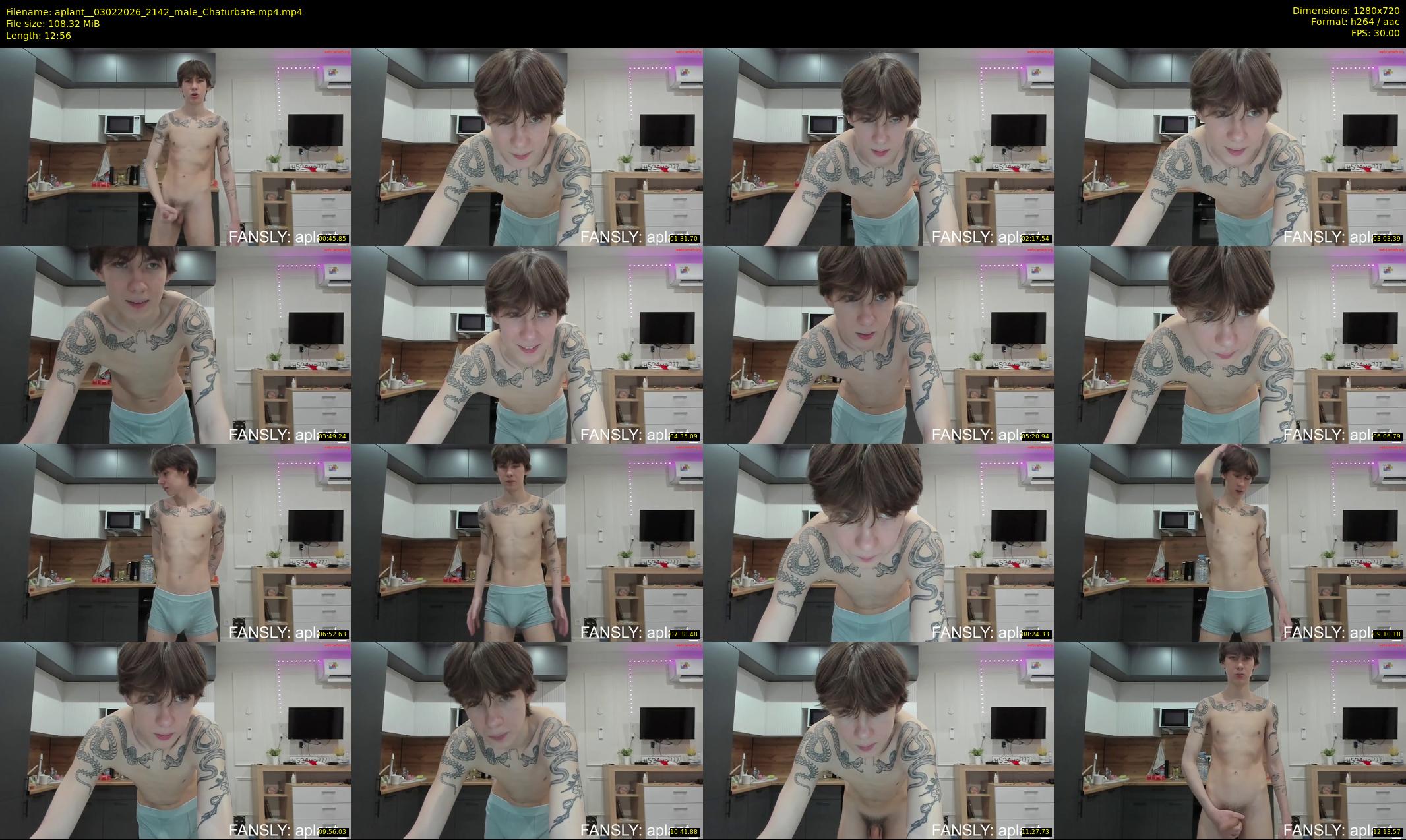 aplant_ — 13 minute Chaturbate male cam show recording, 720p, Feb 3, 2026