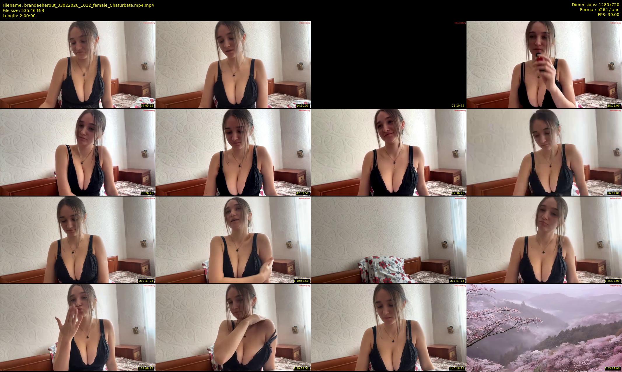 brandeeherout — 120 minute Chaturbate female cam show recording, 720p, Feb 3, 2026