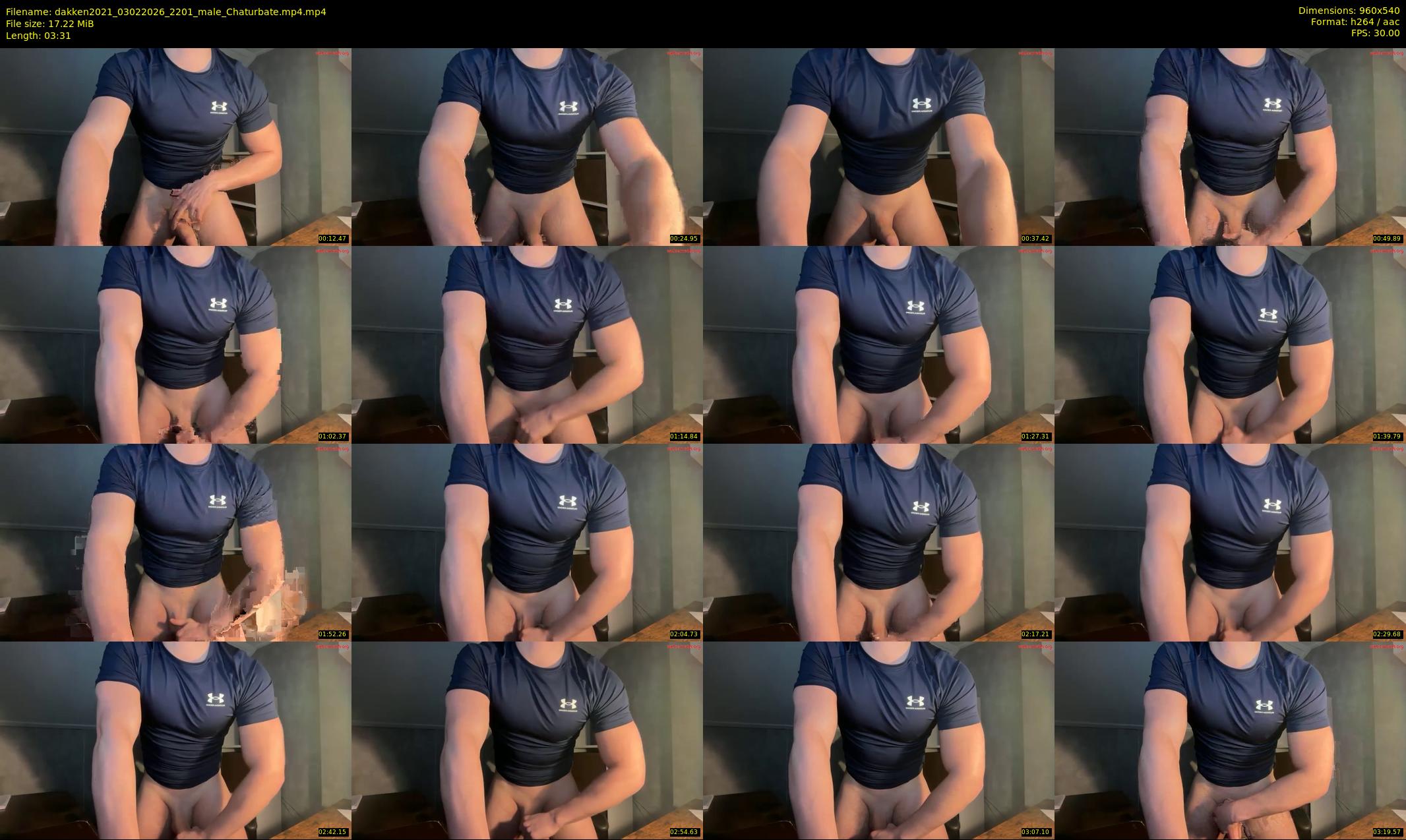 dakken2021 — 4 minute Chaturbate male cam show recording, 480p, Feb 3, 2026