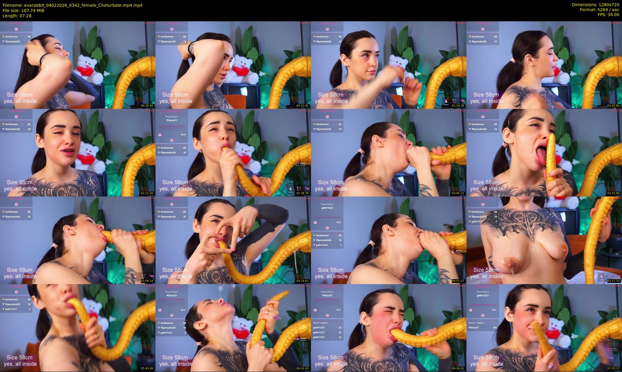 evarabbit — 8 minute Chaturbate female cam show recording, 720p, Feb 4, 2026