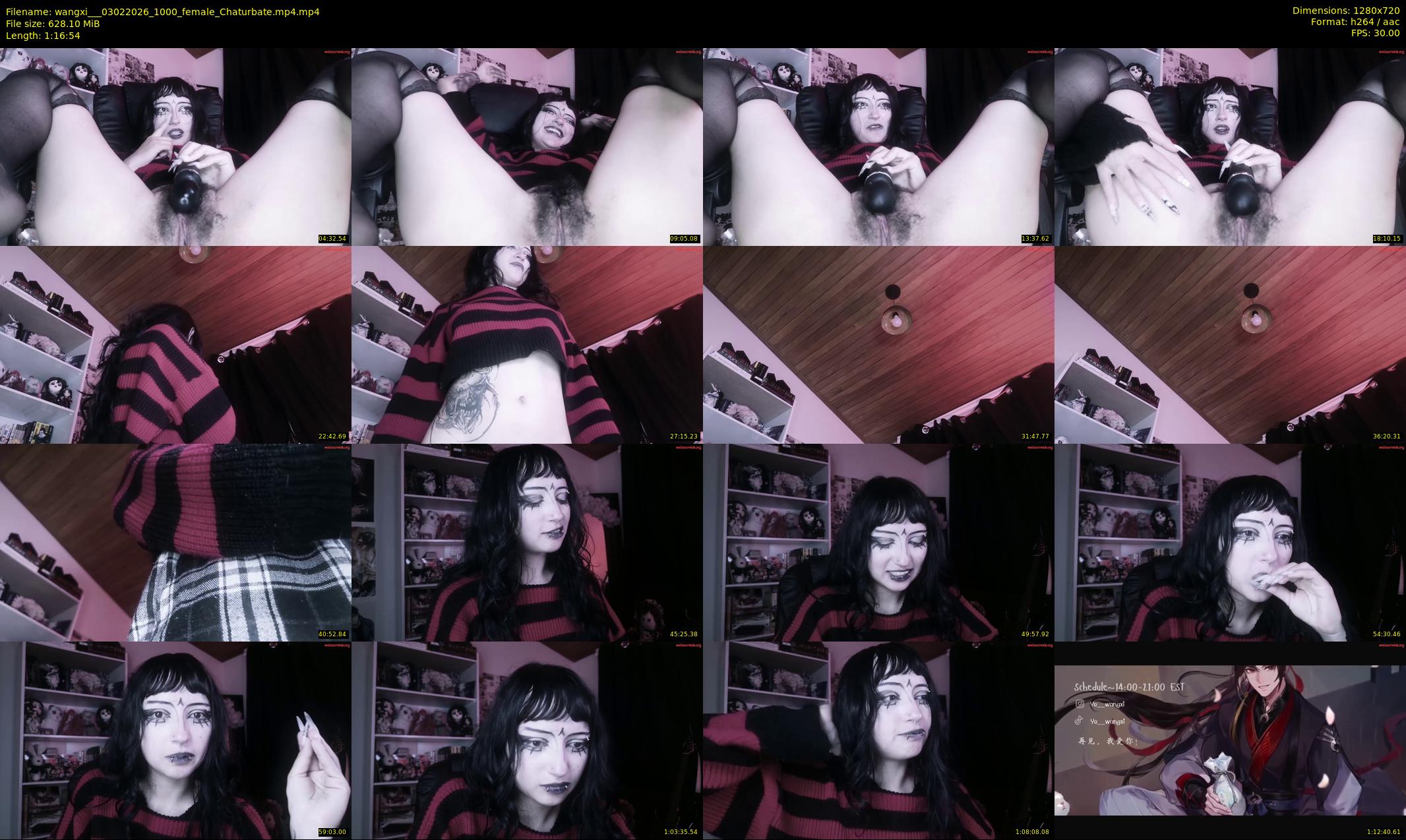 wangxi__ — 77 minute Chaturbate female cam show recording, 720p, Feb 3, 2026