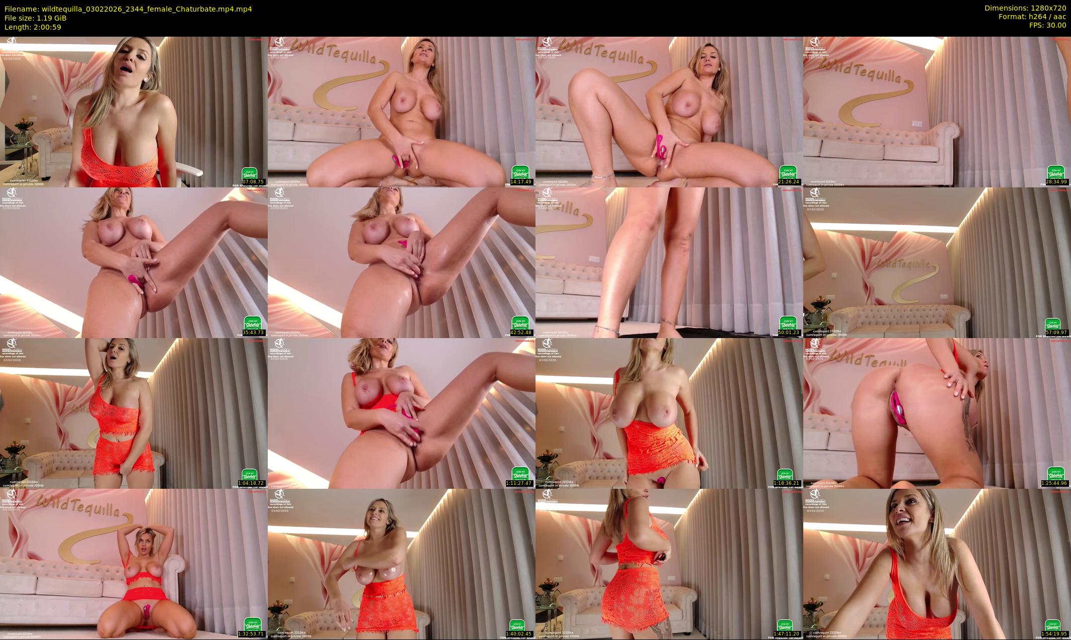 wildtequilla — 121 minute Chaturbate couple cam show recording, 720p, Feb 3, 2026