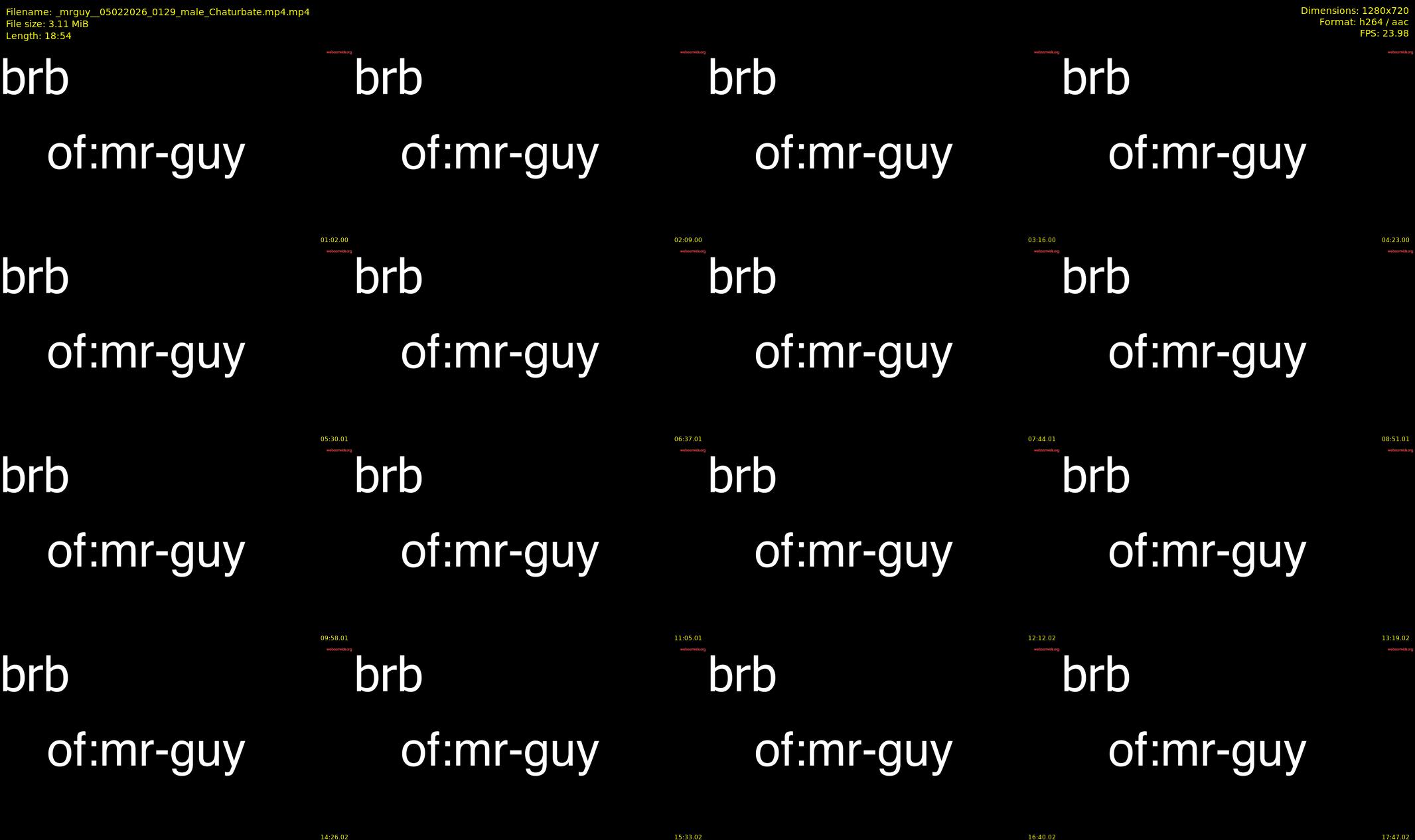 _mrguy_ — 19 minute Chaturbate male cam show recording, 720p, Feb 5, 2026