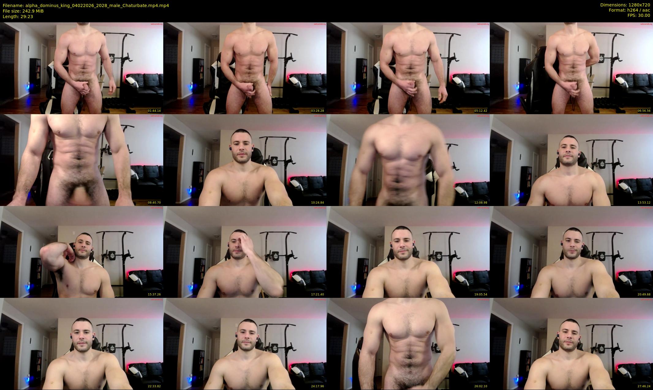 alpha_dominus_king — 30 minute Chaturbate male cam show recording, 720p, Feb 4, 2026