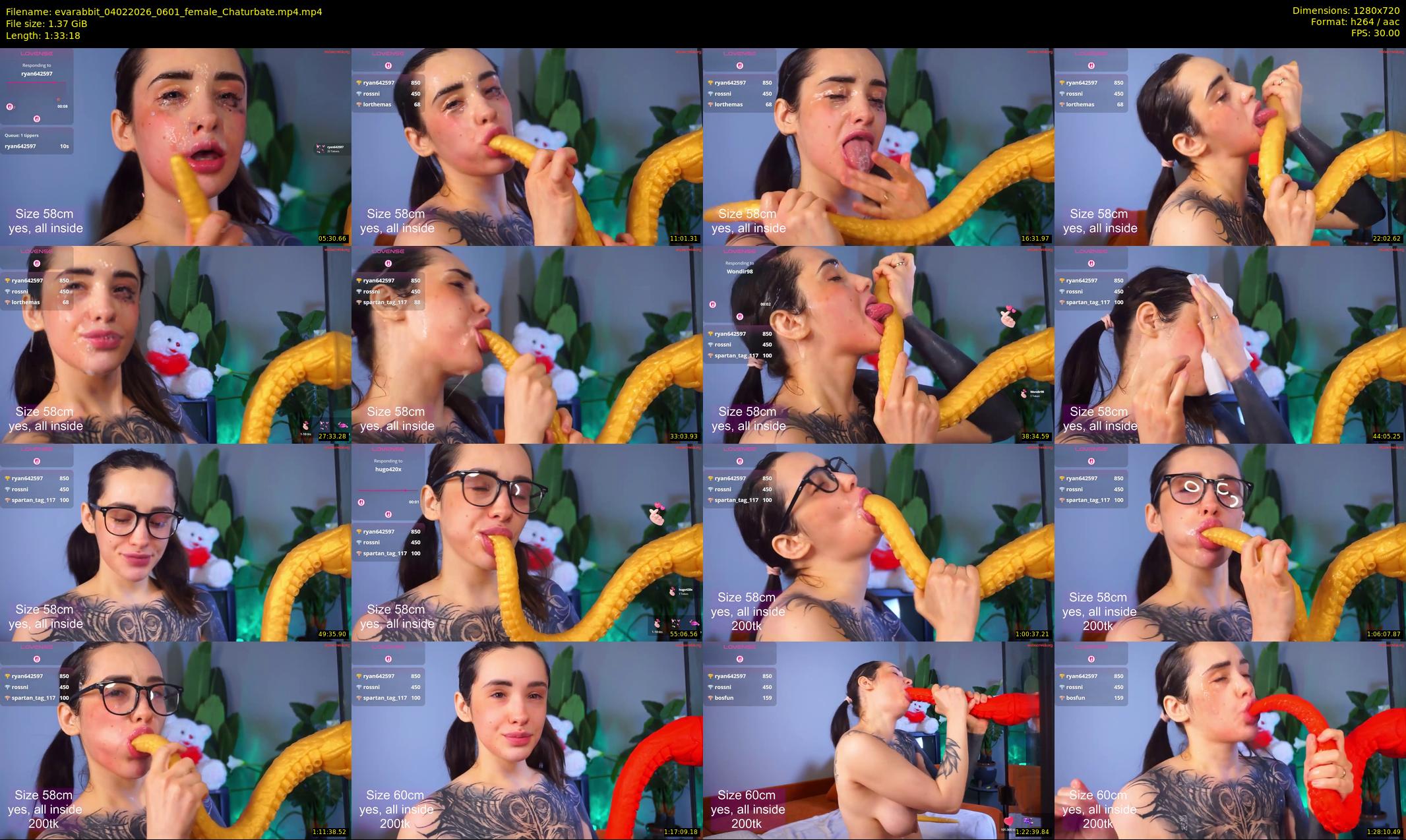 evarabbit — 94 minute Chaturbate female cam show recording, 720p, Feb 4, 2026