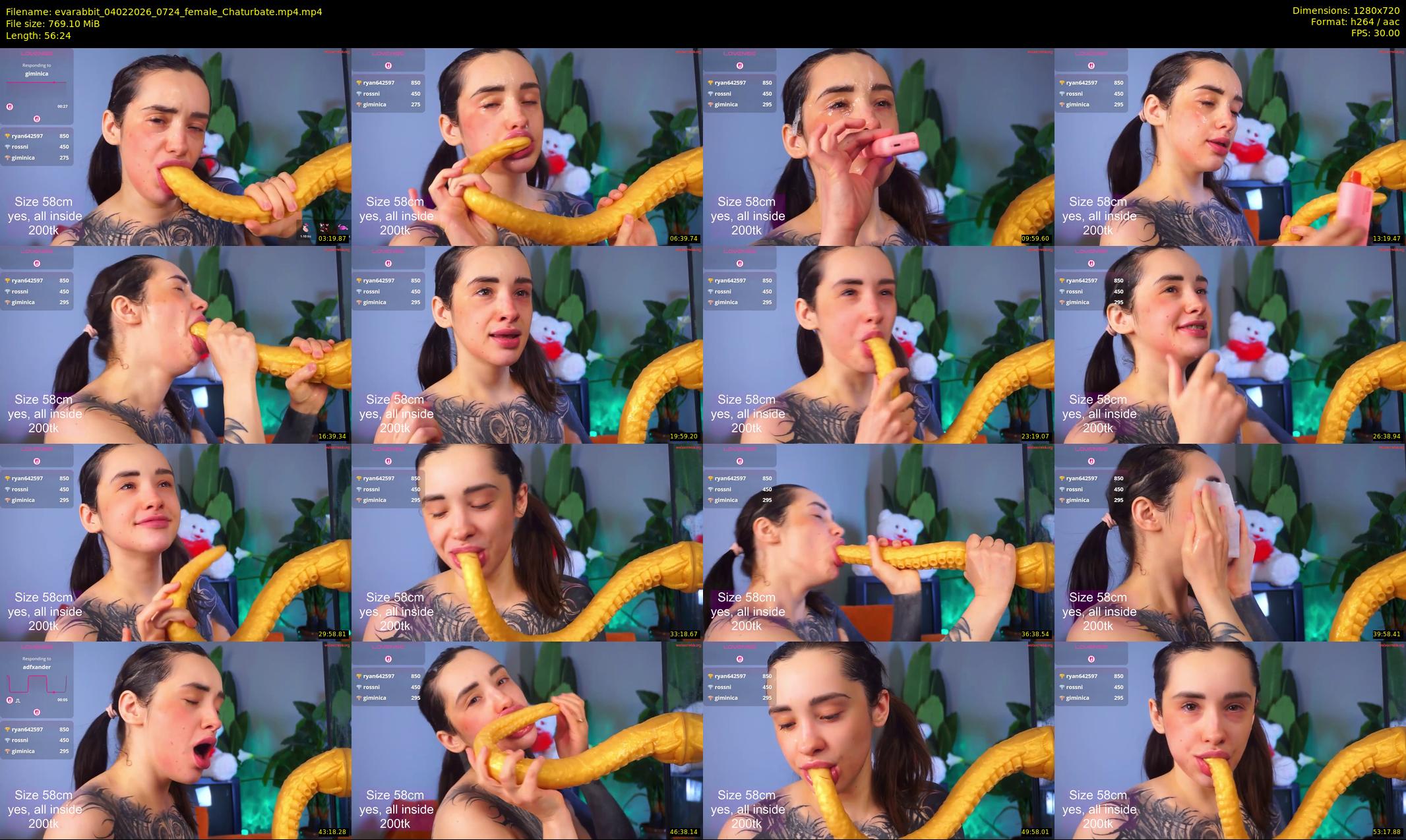 evarabbit — 57 minute Chaturbate female cam show recording, 720p, Feb 4, 2026