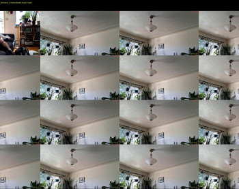 lacybell — 48 minute Chaturbate female cam show recording, 720p, Feb 6, 2026