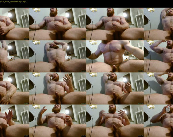 pec_inspector — 4 minute Chaturbate male cam show recording, 720p, Feb 8, 2026