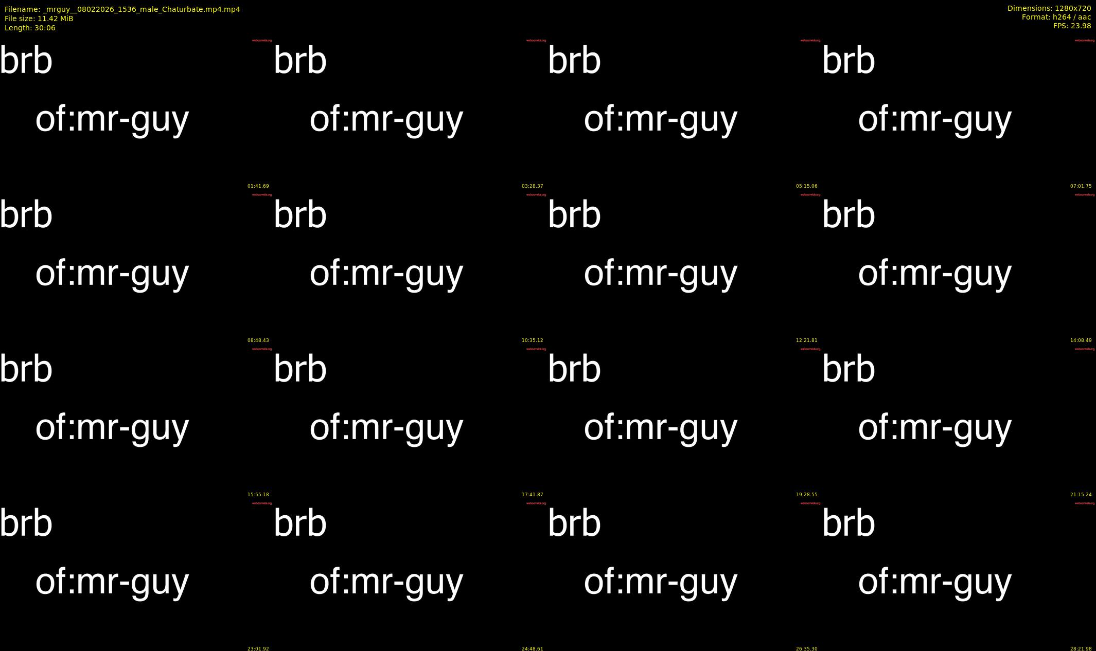 _mrguy_ — 31 minute Chaturbate male cam show recording, 720p, Feb 8, 2026