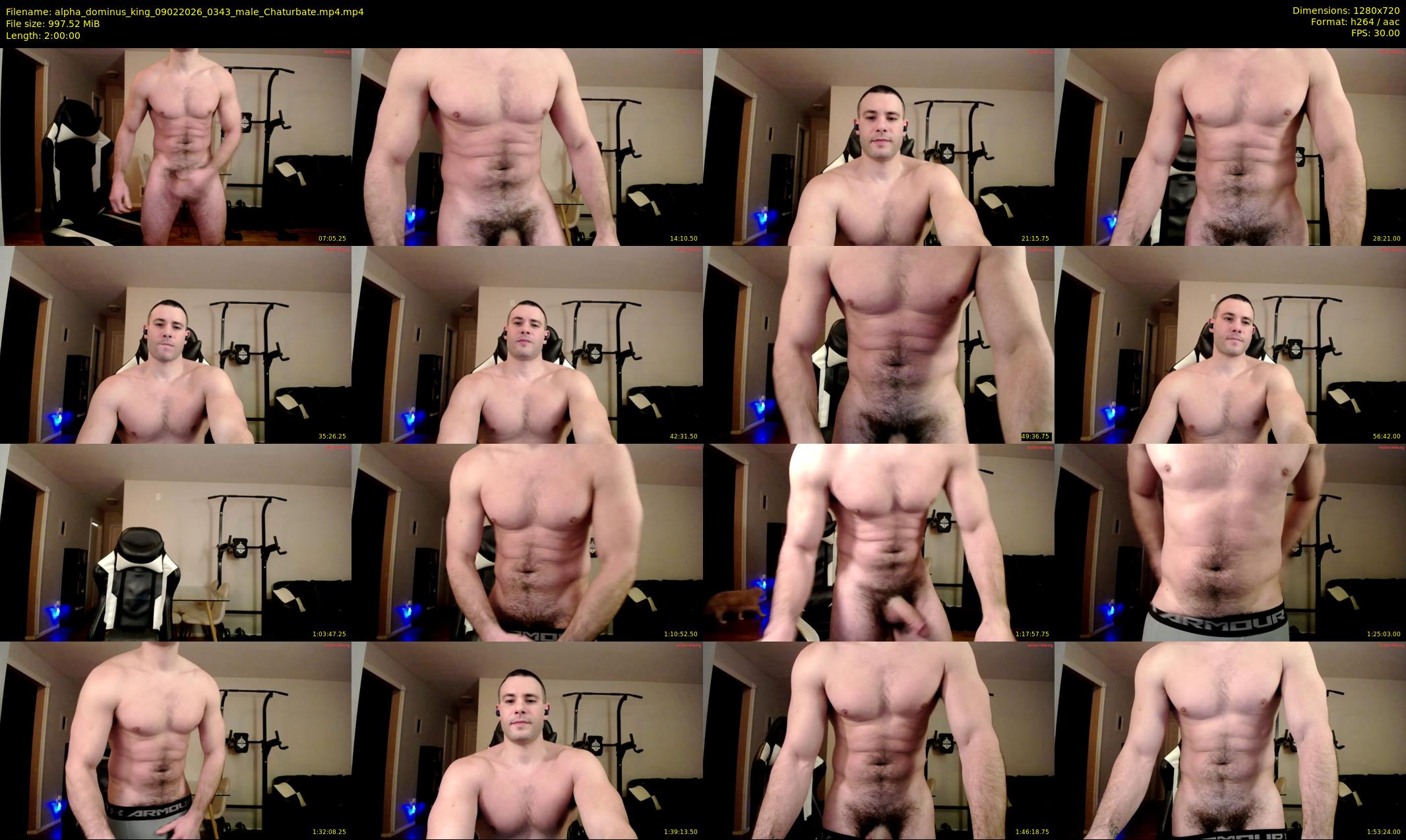 alpha_dominus_king — 120 minute Chaturbate male cam show recording, 720p, Feb 9, 2026