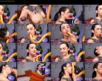 evarabbit — 81 minute Chaturbate female cam show recording, 720p, Feb 8, 2026