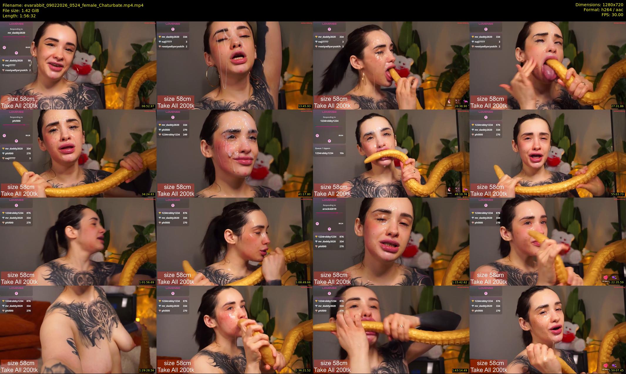 evarabbit — 117 minute Chaturbate female cam show recording, 720p, Feb 9, 2026