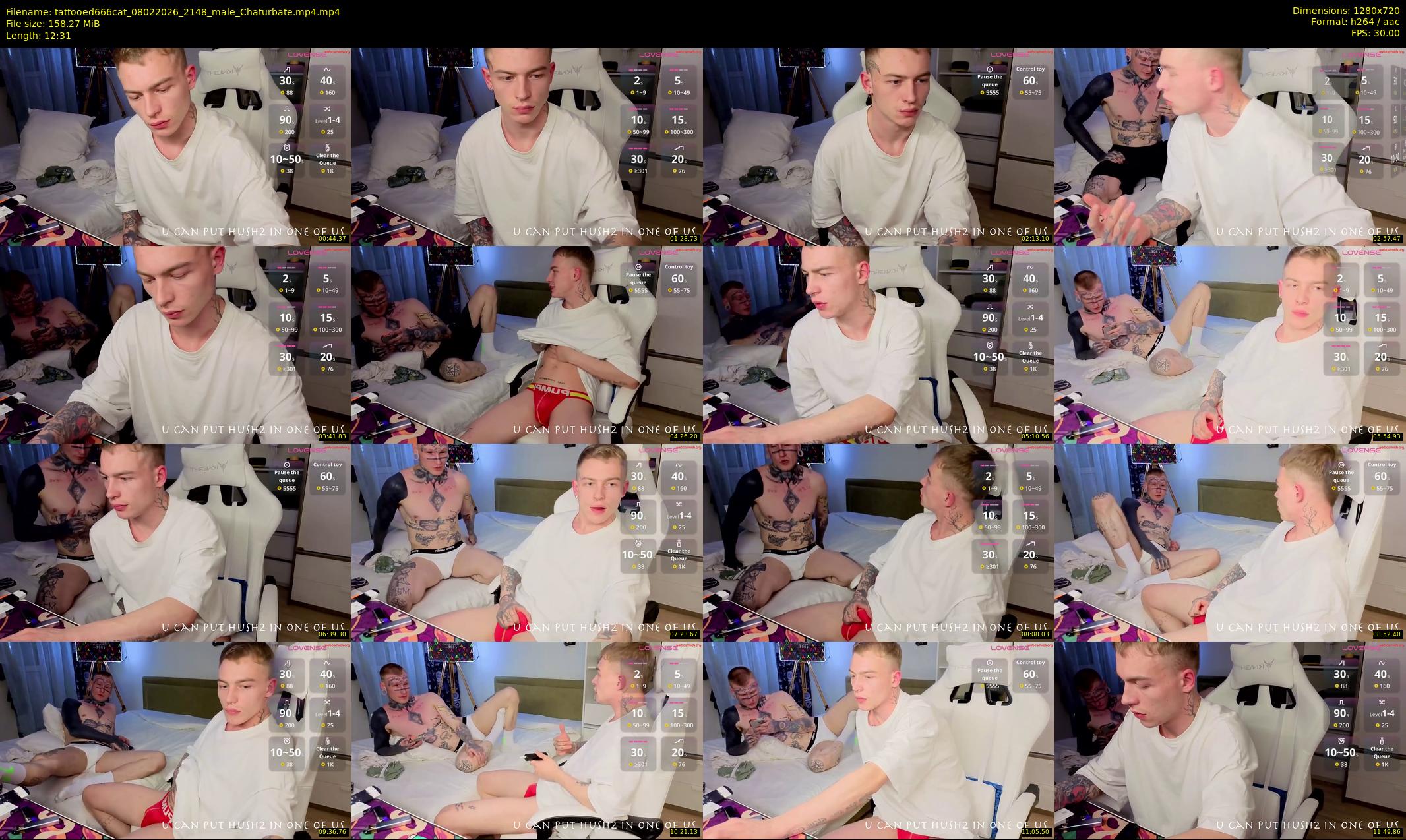 tattooed666cat — 13 minute Chaturbate male cam show recording, 720p, Feb 8, 2026