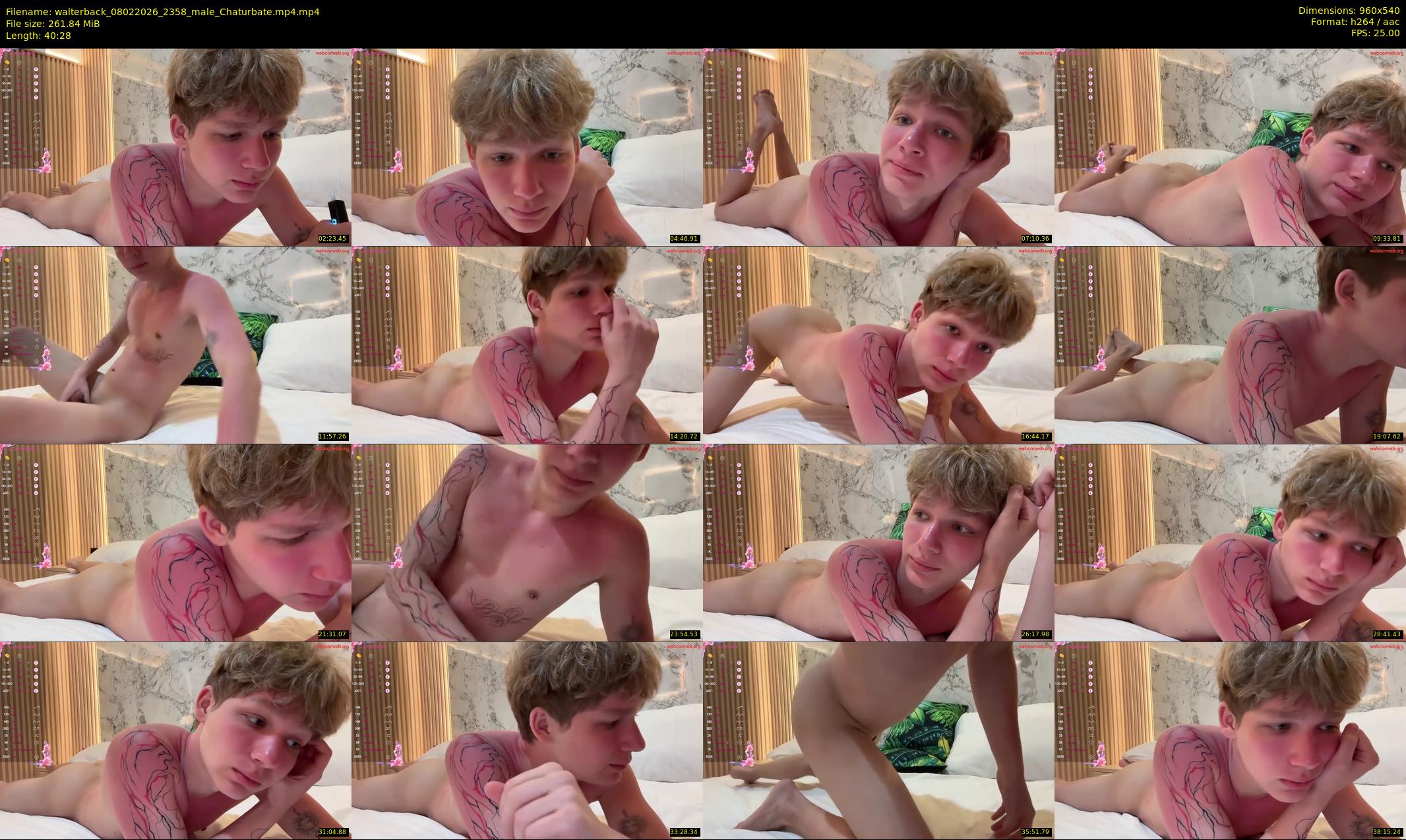 walterback — 41 minute Chaturbate male cam show recording, 480p, Feb 8, 2026