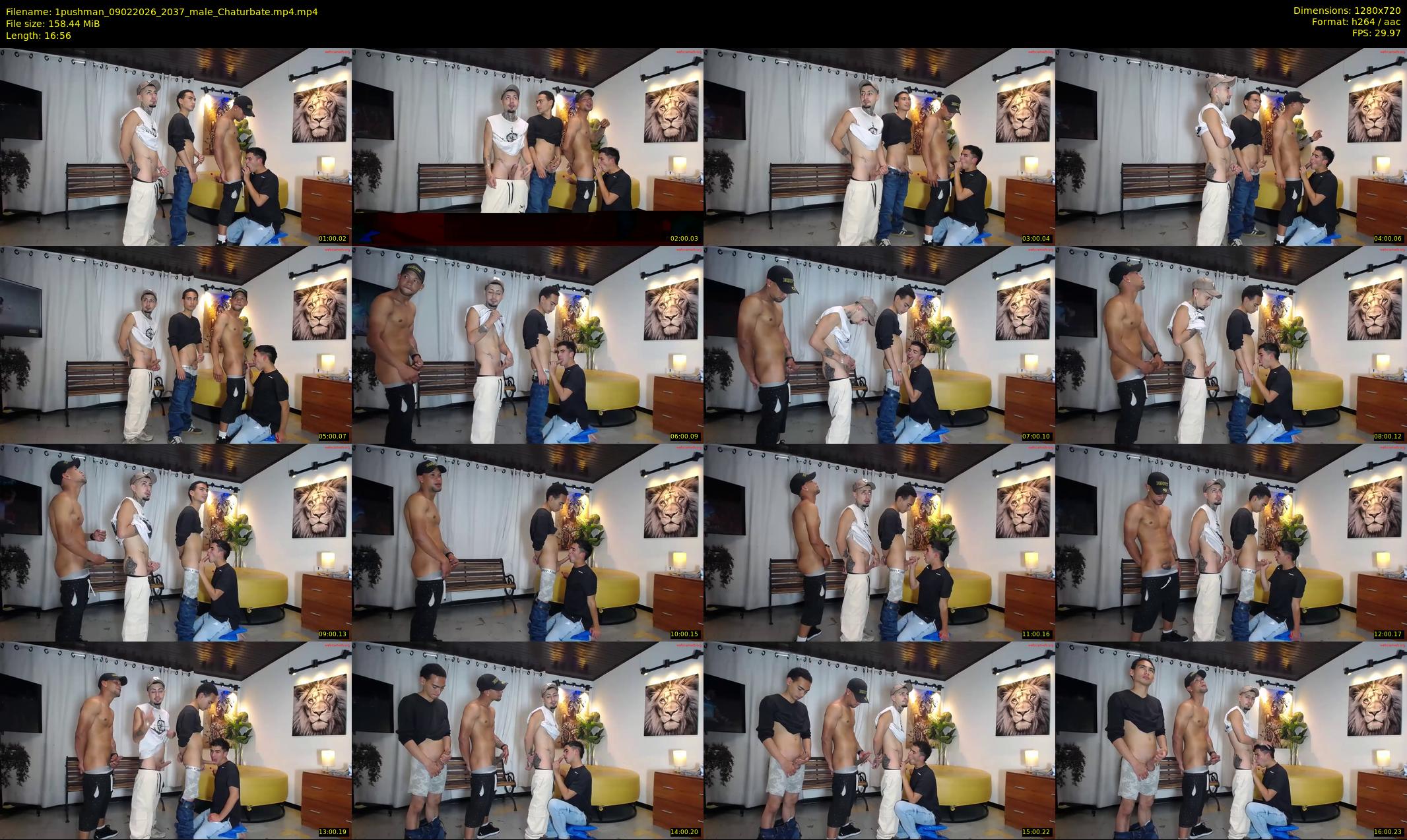 1pushman — 17 minute Chaturbate male cam show recording, 720p, Feb 9, 2026