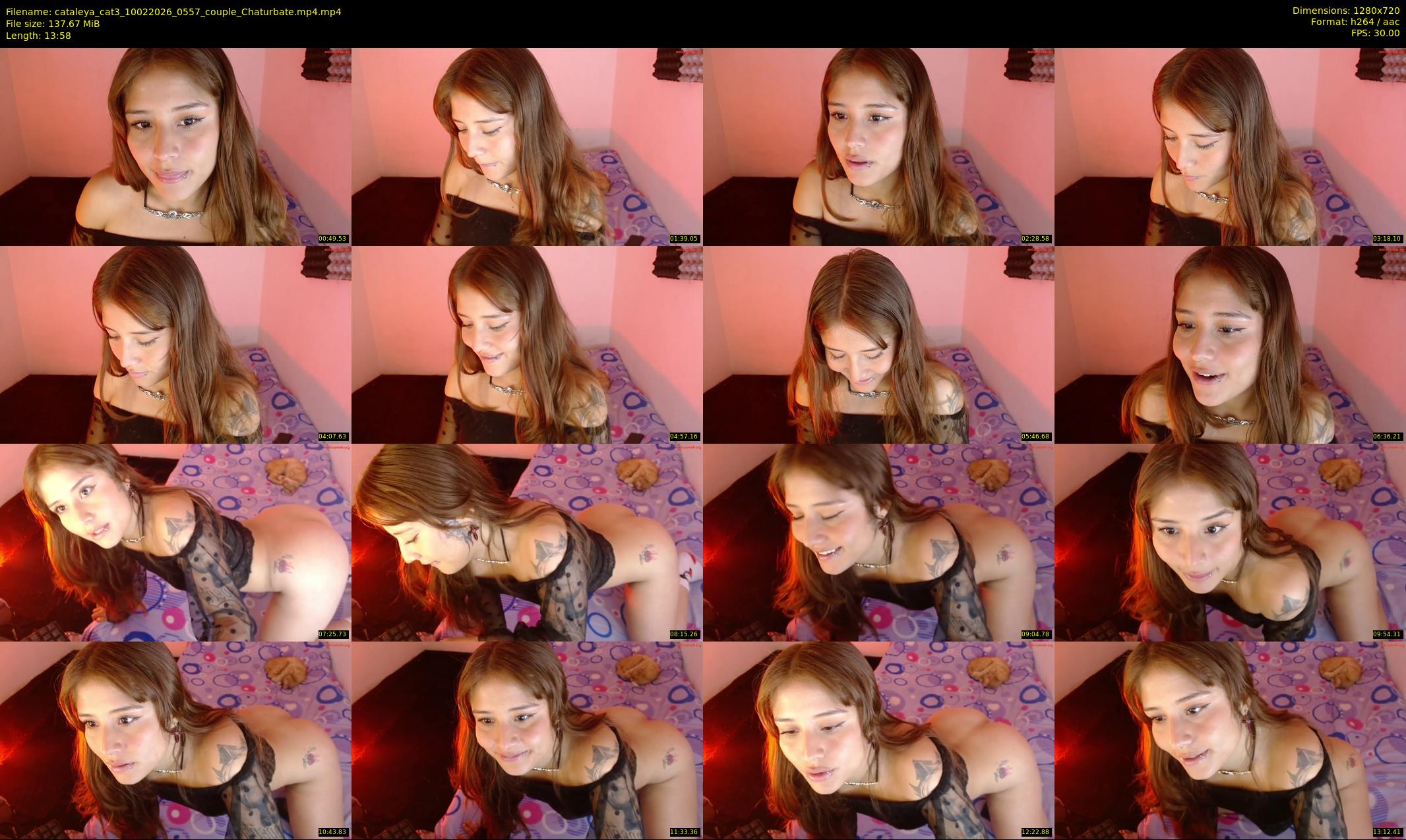 cataleya_cat3 — 14 minute Chaturbate couple cam show recording, 720p, Feb 10, 2026