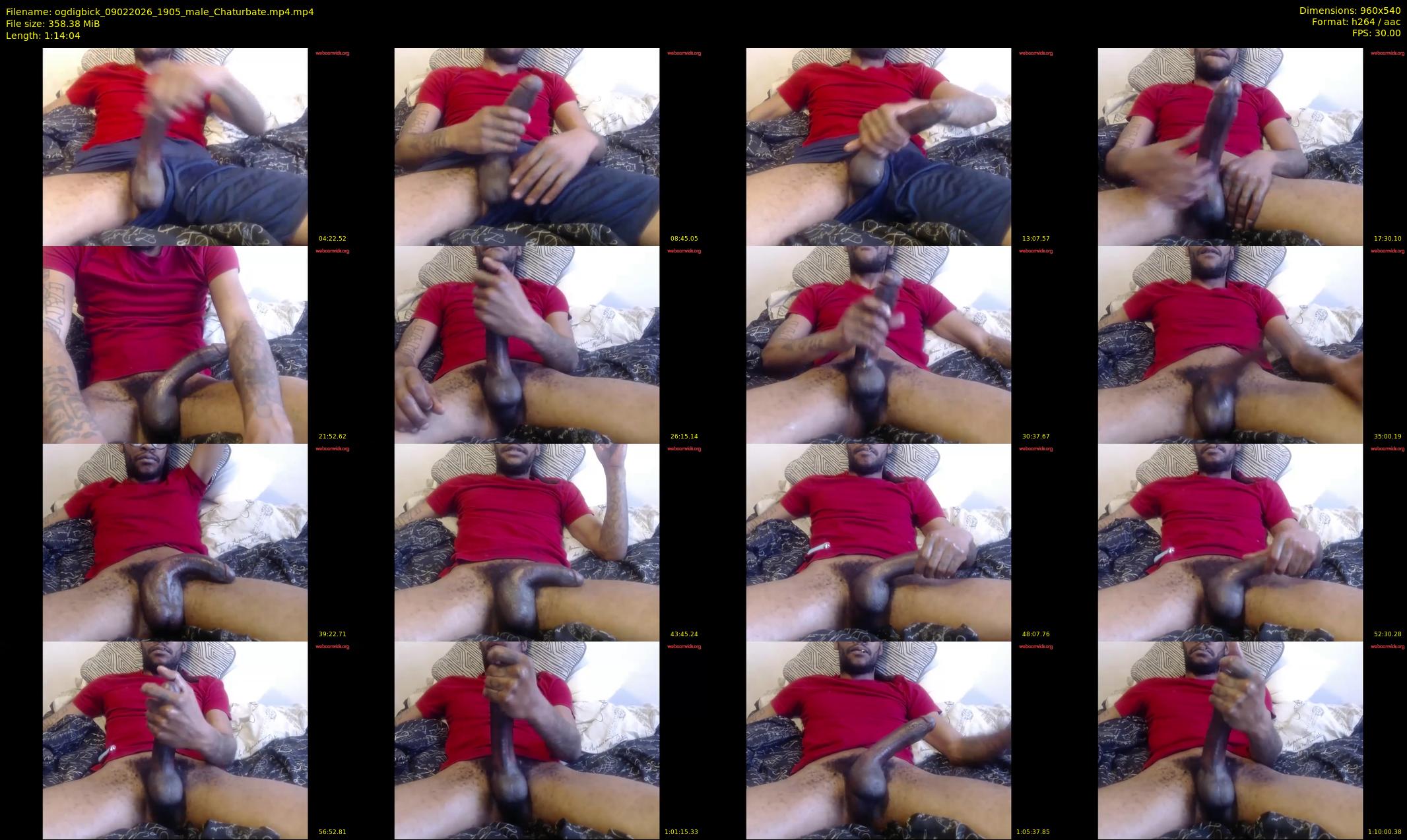 ogdigbick — 75 minute Chaturbate male cam show recording, 480p, Feb 9, 2026