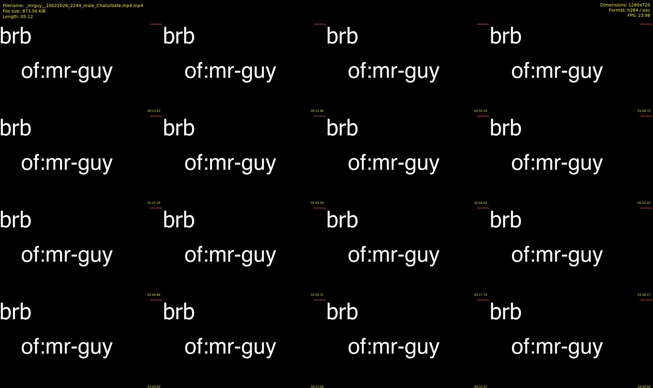 _mrguy_ — 6 minute Chaturbate male cam show recording, 720p, Feb 10, 2026