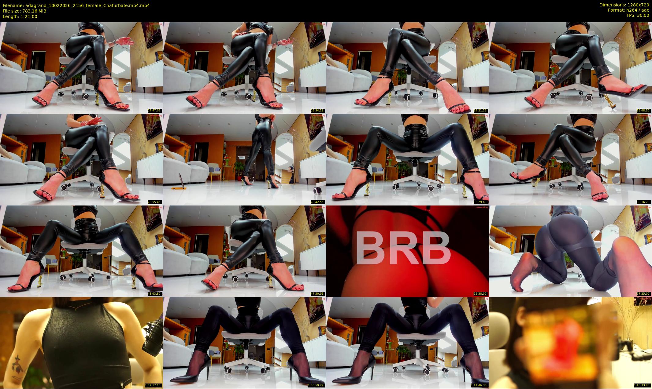 adagrand — 81 minute Chaturbate female cam show recording, 720p, Feb 10, 2026