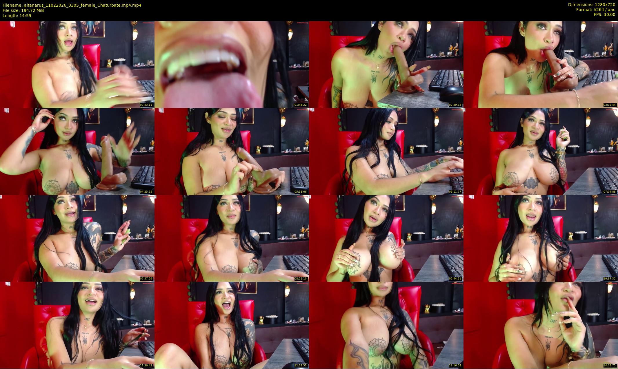 aitanarus — 15 minute Chaturbate female cam show recording, 720p, Feb 11, 2026