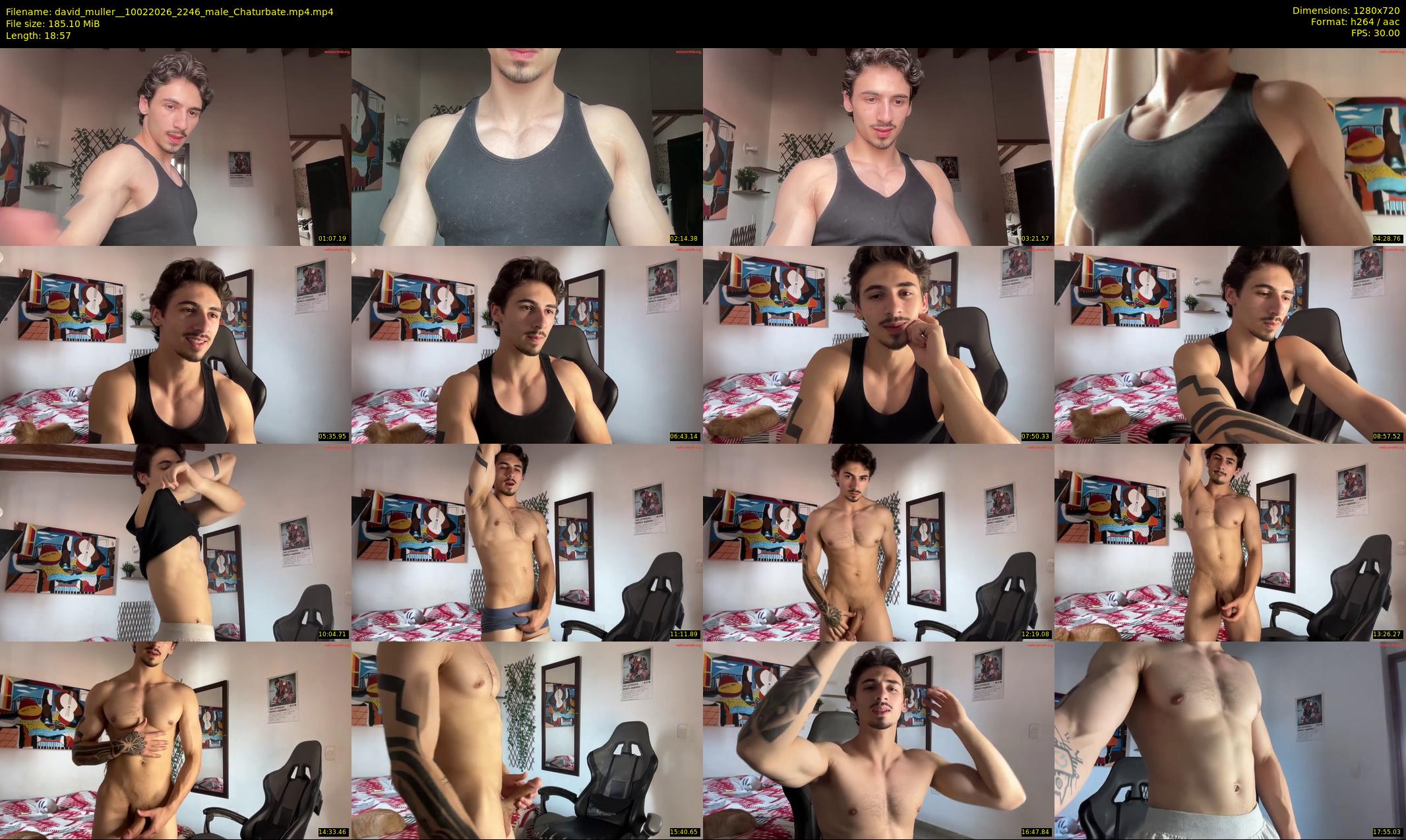 david_muller_ — 19 minute Chaturbate male cam show recording, 720p, Feb 10, 2026