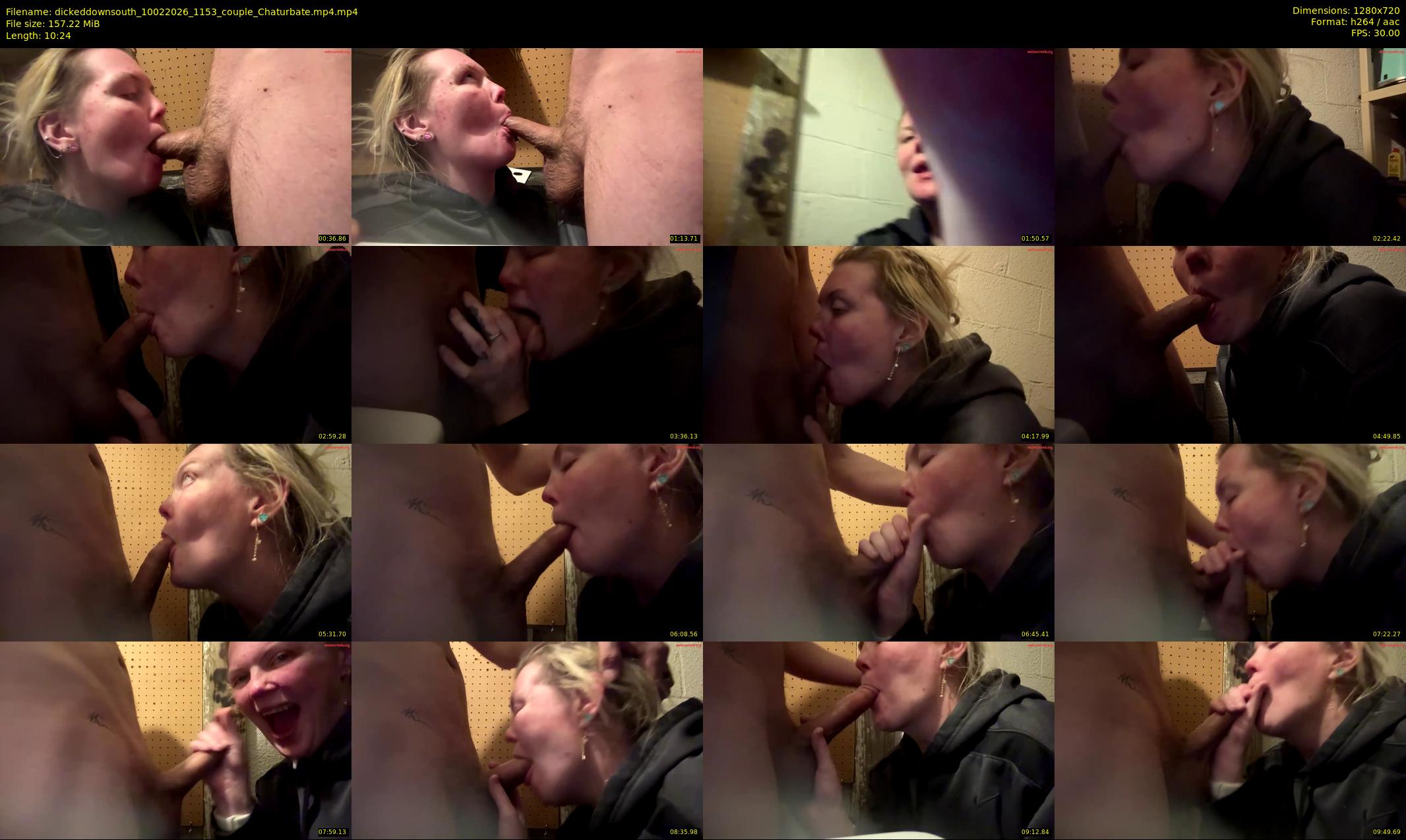 dickeddownsouth — 11 minute Chaturbate couple cam show recording, 720p, Feb 10, 2026