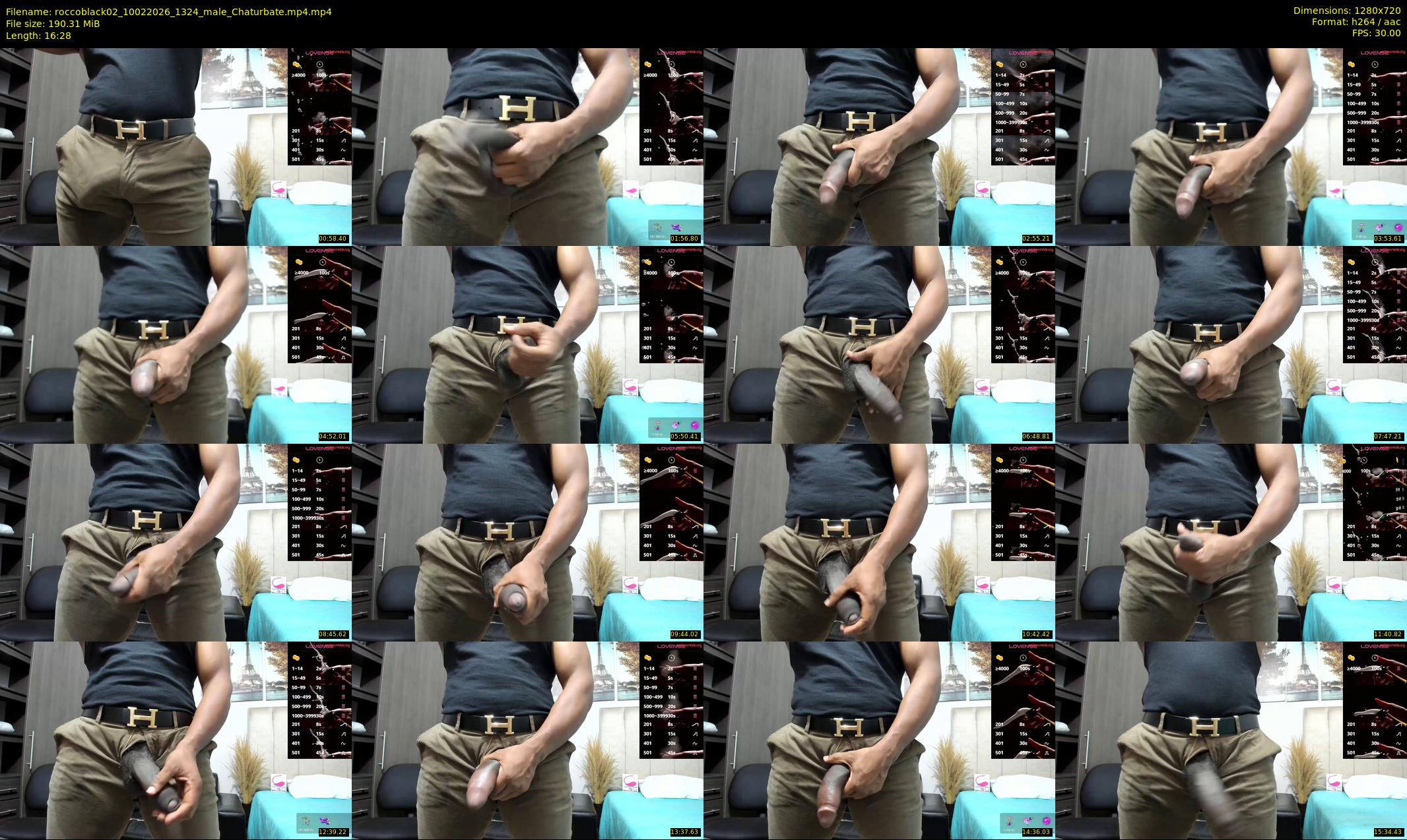 roccoblack02 — 17 minute Chaturbate male cam show recording, 720p, Feb 10, 2026