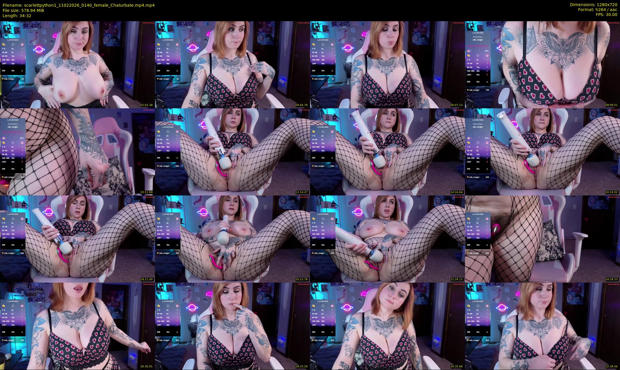 scarlettpython1 — 35 minute Chaturbate female cam show recording, 720p, Feb 11, 2026