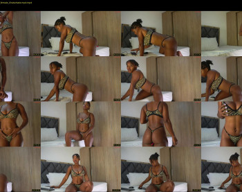 sow_fitt — 79 minute Chaturbate female cam show recording, 720p, Feb 10, 2026