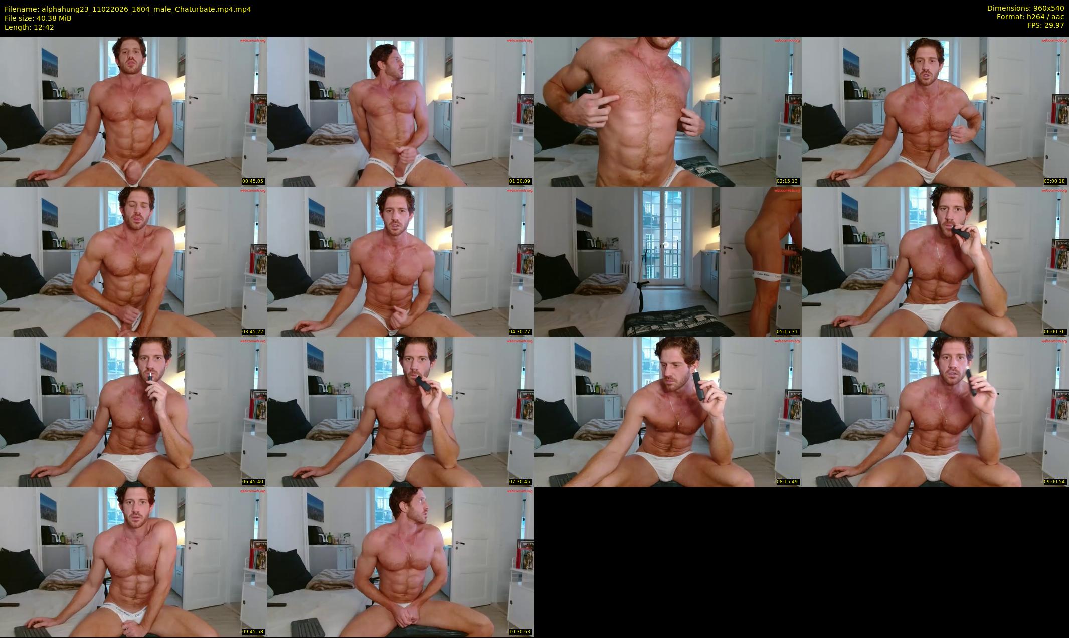 alphahung23 — 13 minute Chaturbate male cam show recording, 480p, Feb 11, 2026