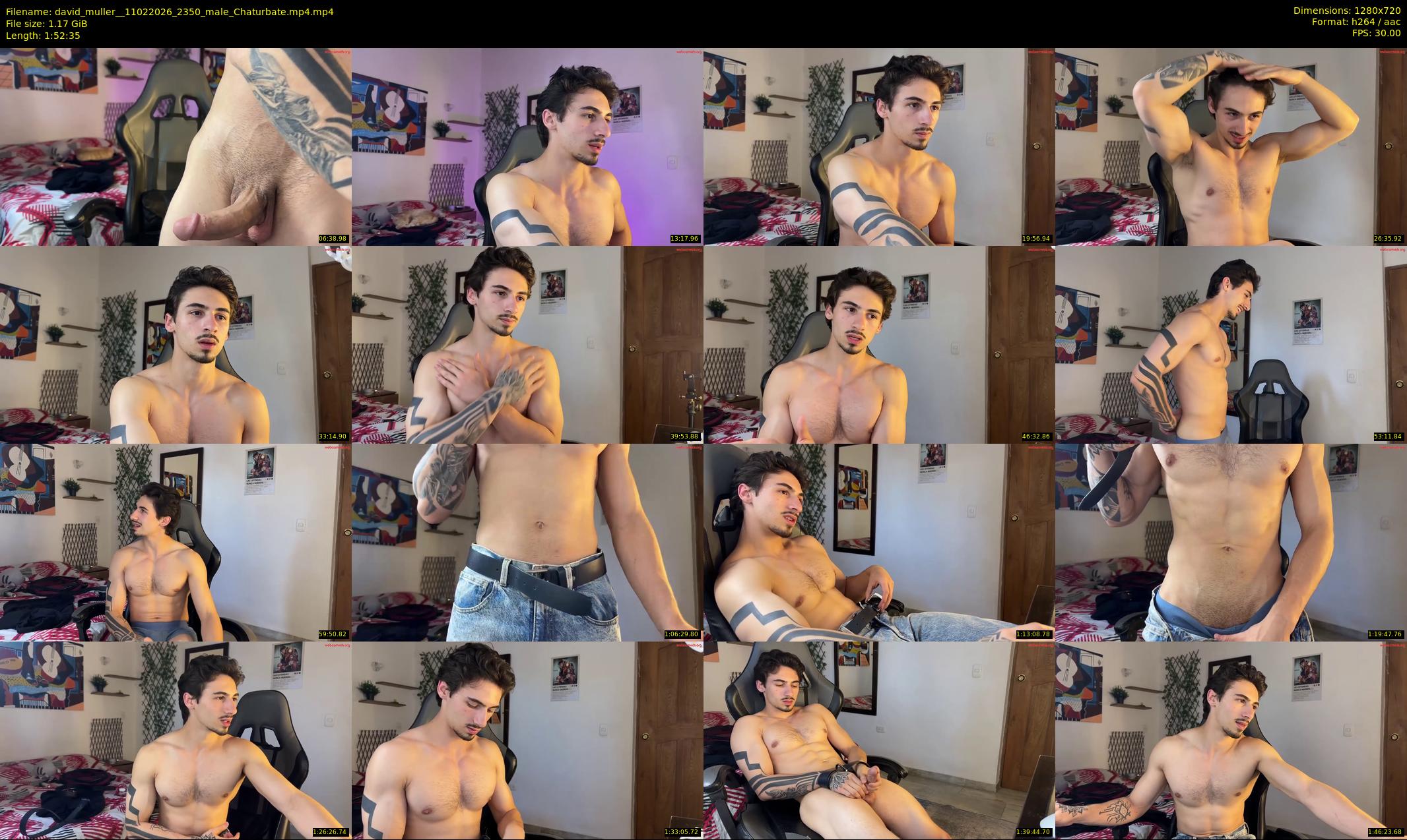david_muller_ — 113 minute Chaturbate male cam show recording, 720p, Feb 11, 2026