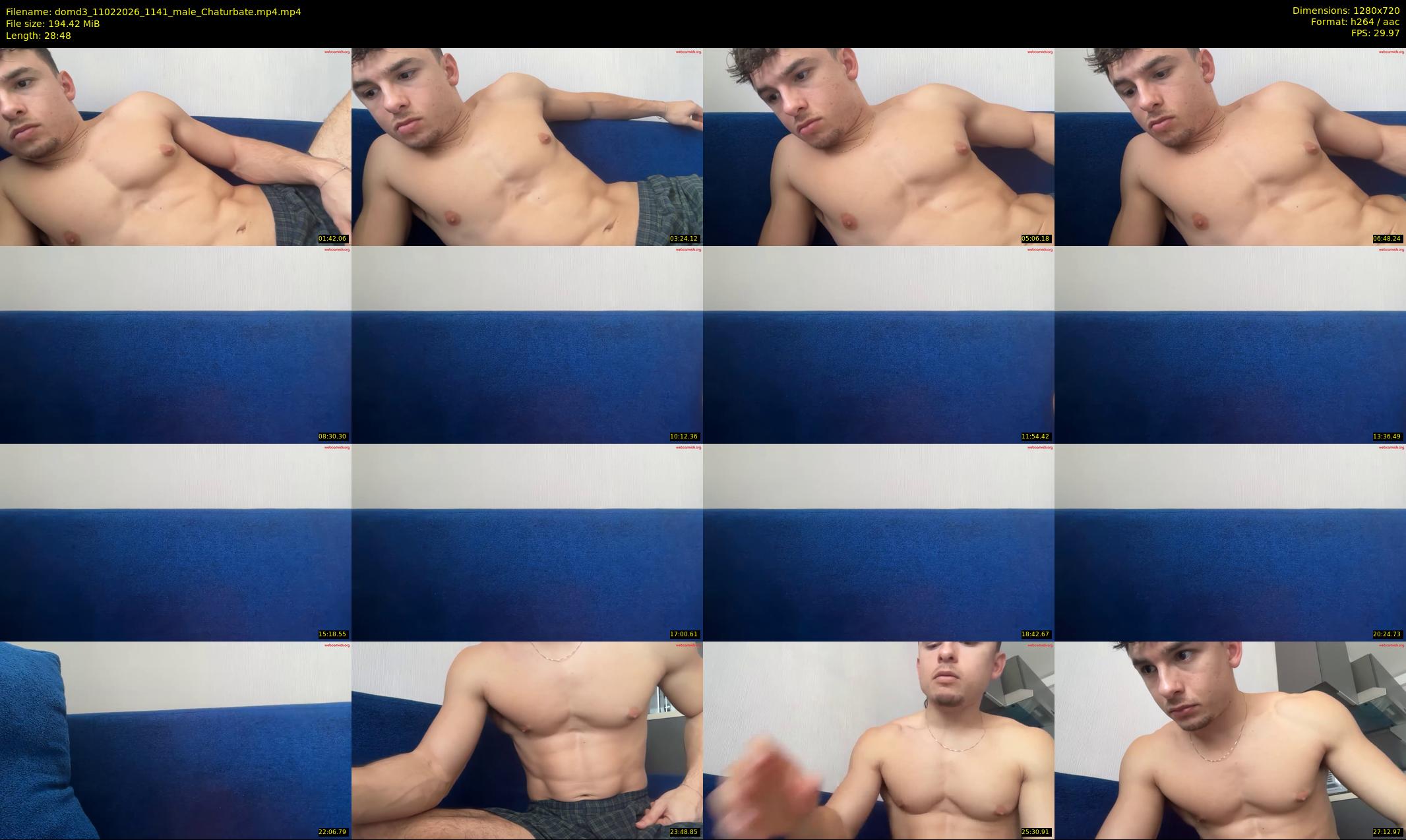 domd3 — 29 minute Chaturbate male cam show recording, 720p, Feb 11, 2026