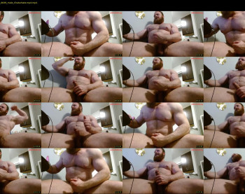 pec_inspector — 24 minute Chaturbate male cam show recording, 360p, Feb 11, 2026